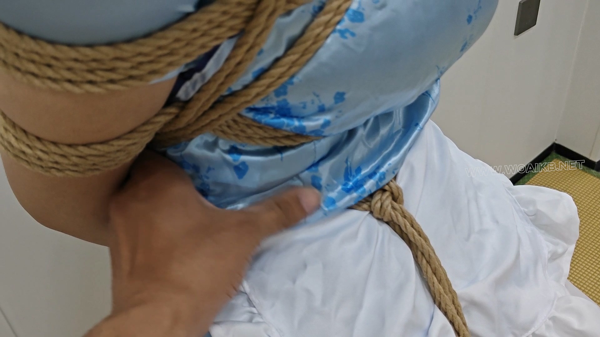 小九妹子的zhixi木马zdb调教 预览图