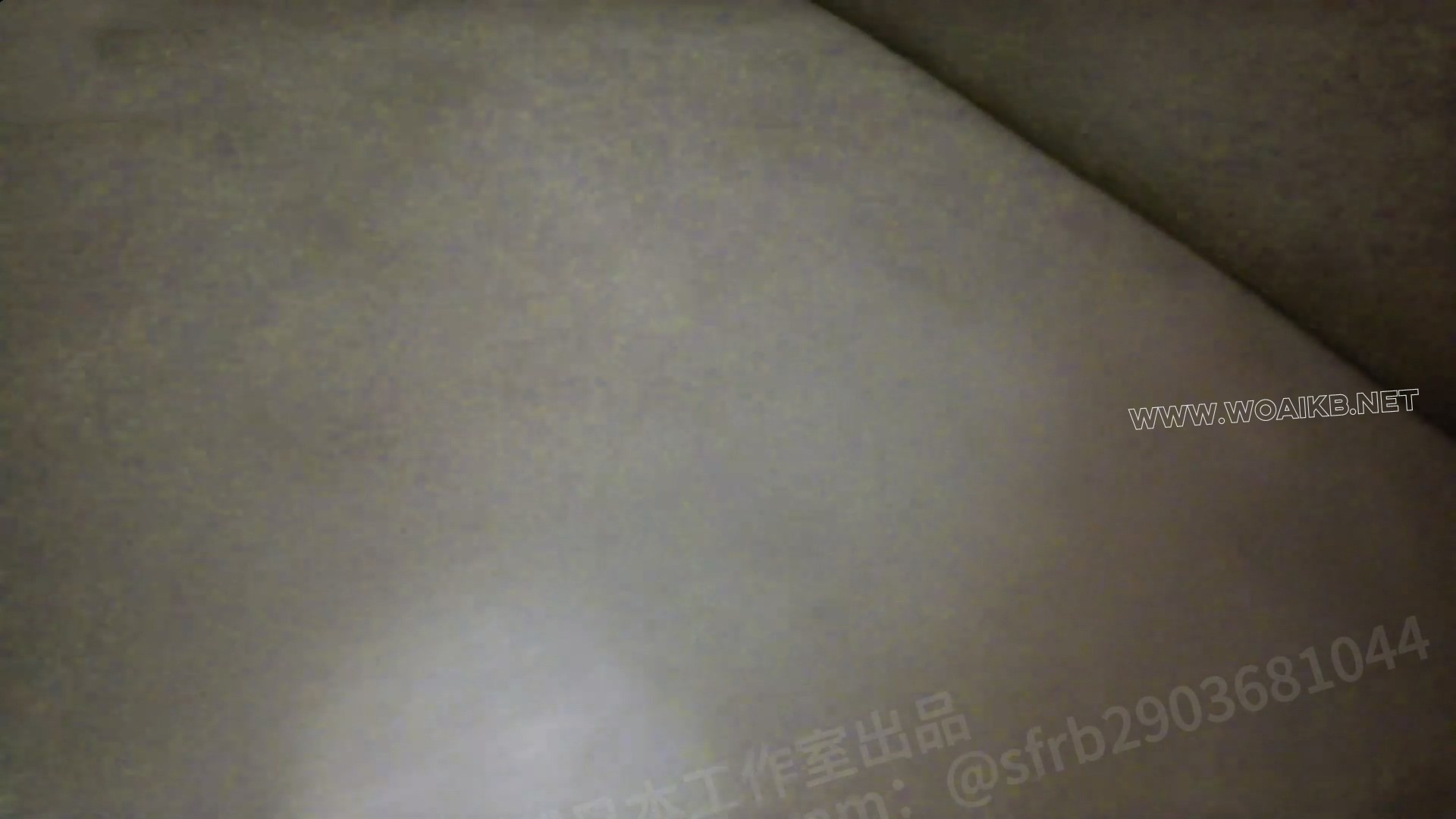 「花嫁系列」纯洁少女的梦 玩弄 粉绳白丝龟甲 震动棒强制gc 猫耳狗骨口塞 郊狼 预览图
