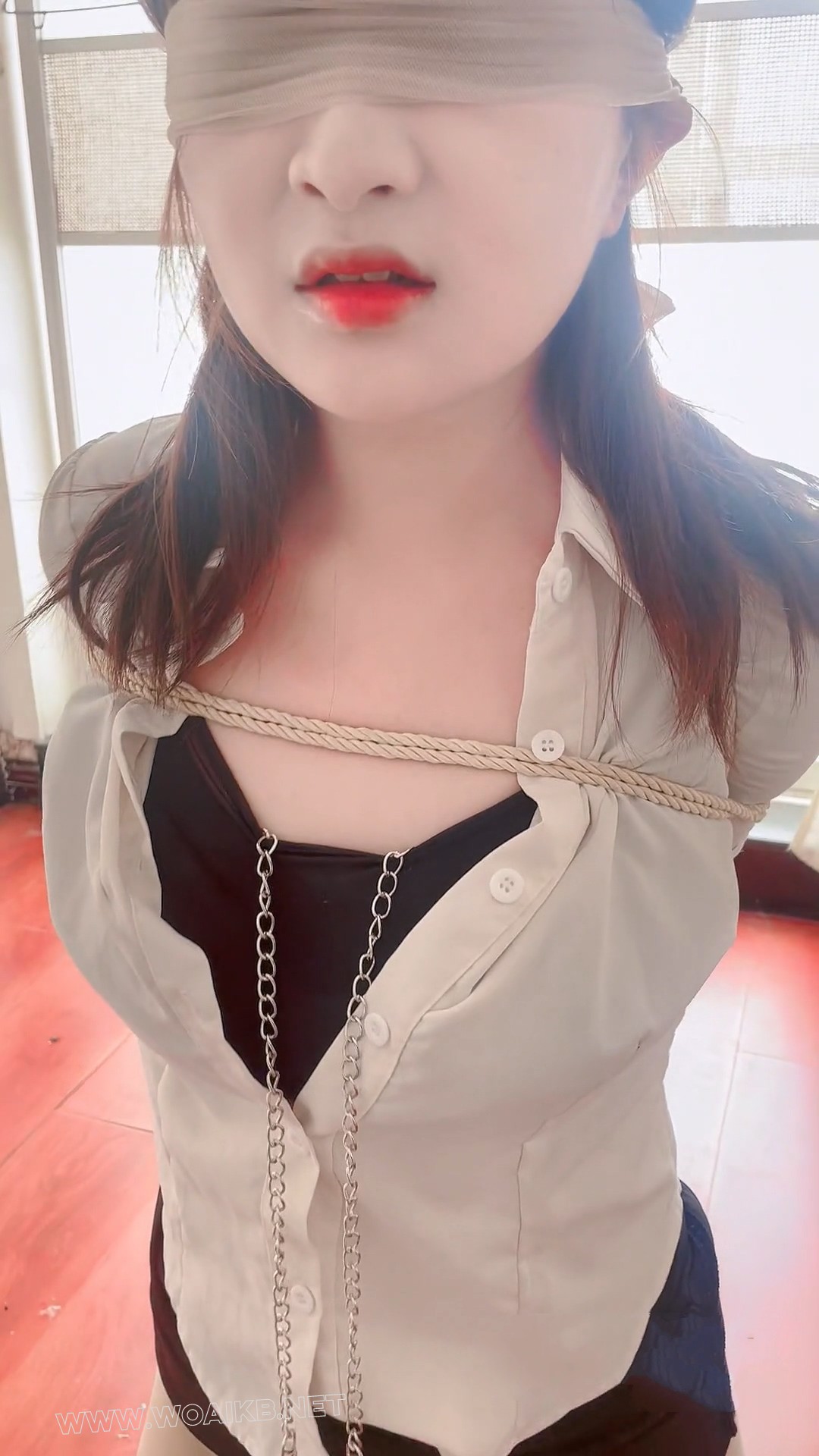 第一视角调教私奴 预览图