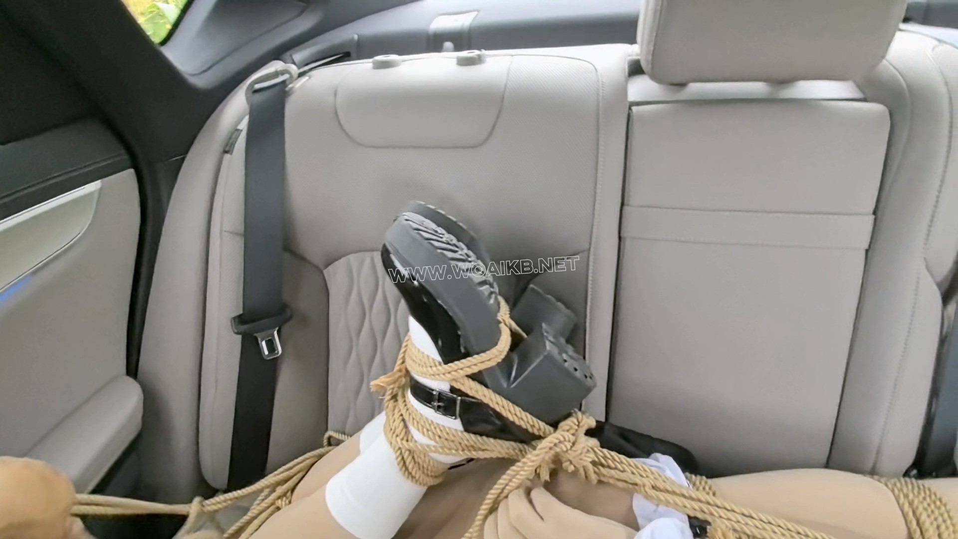 【FXX-ZENTAI女仆】奇妙的旅途 路上车来车往 旁边路过的车会不会看到后排被绑上的 预览图