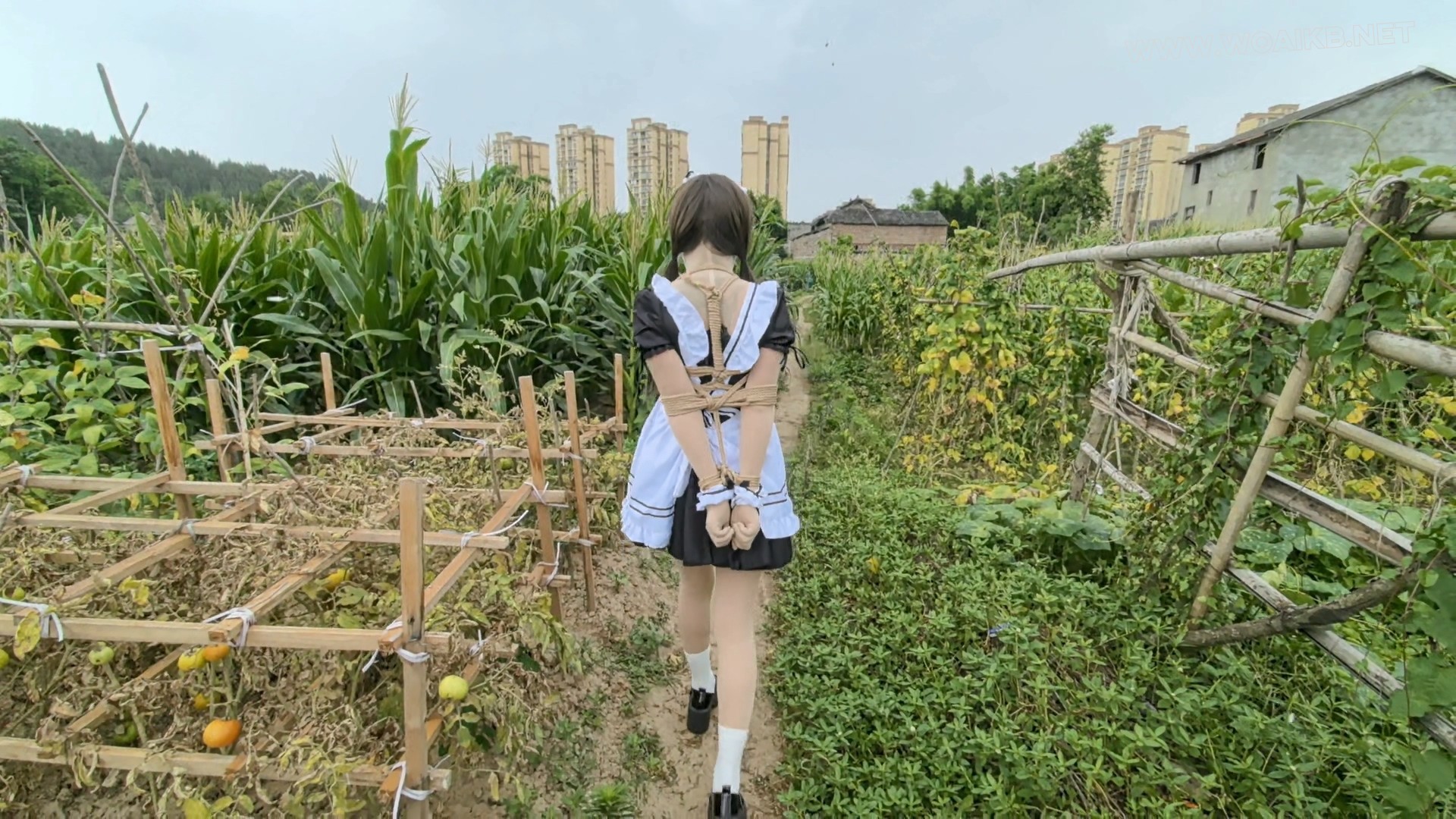 【FXX-ZENTAI女仆】奇妙的旅途 路上车来车往 旁边路过的车会不会看到后排被绑上的 预览图