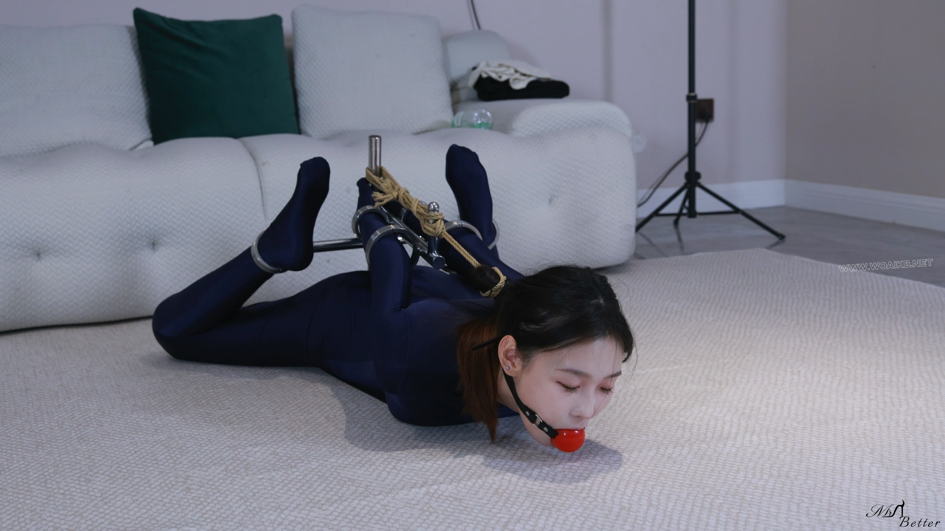 倩倩紧身衣驷马架 预览图