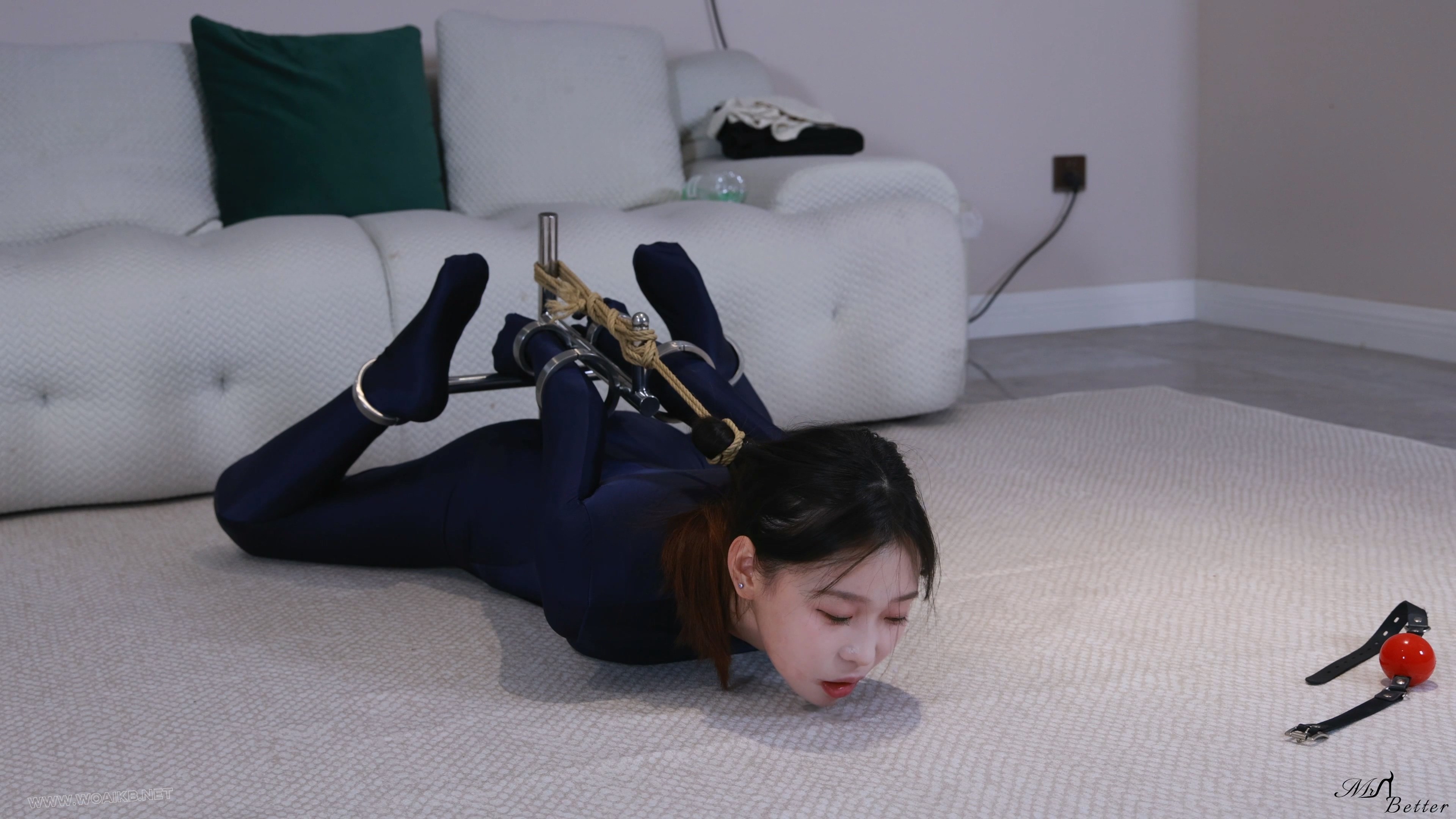 倩倩紧身衣驷马架 预览图