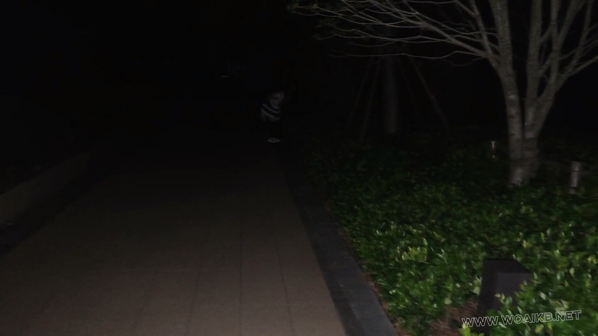 小厨娘苏苏丸子头女仆黑丝尾巴小区行走五花大绑戴脚镣踢足球+拴在树下td折磨 预览图