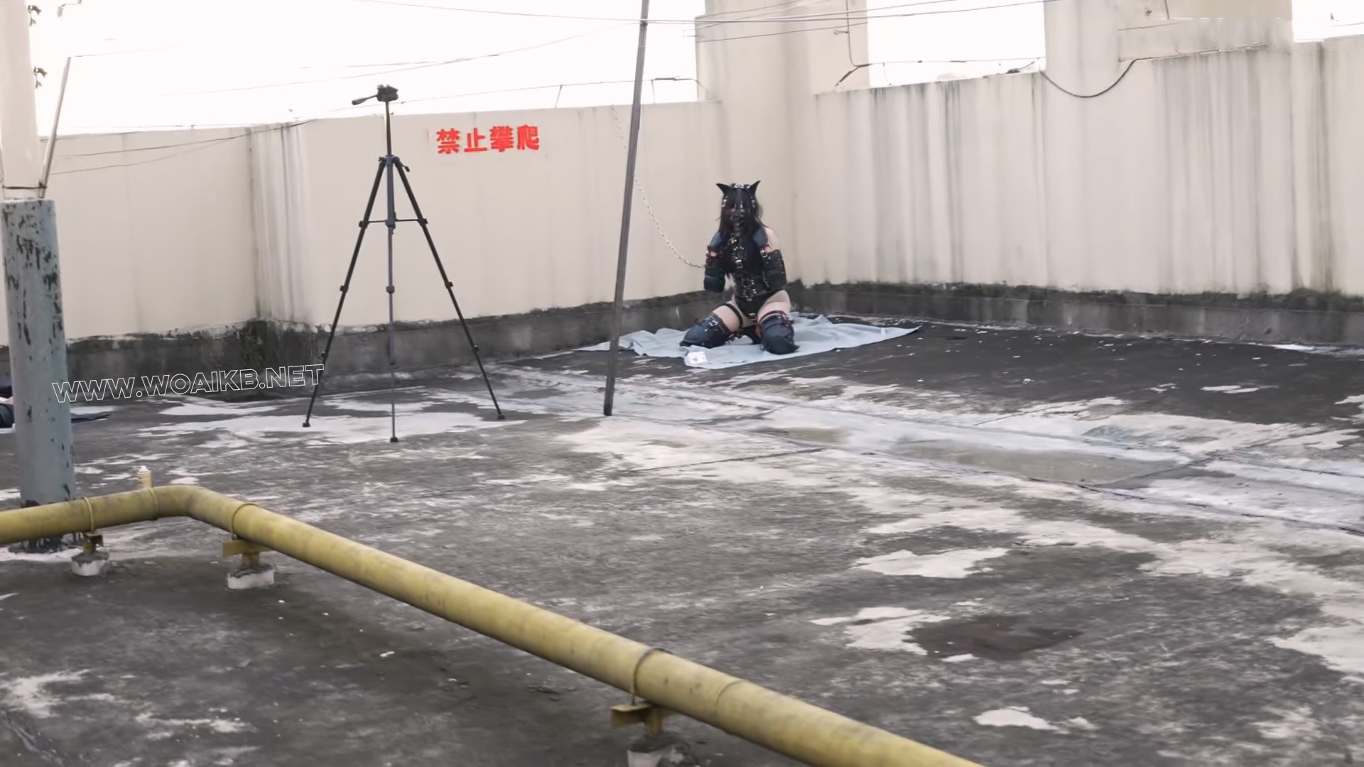 奴隶计划B4 记录真实SM调教 萱萱K9户外天台露出 户外放置 锁链限制 天台遛狗 内入 预览图
