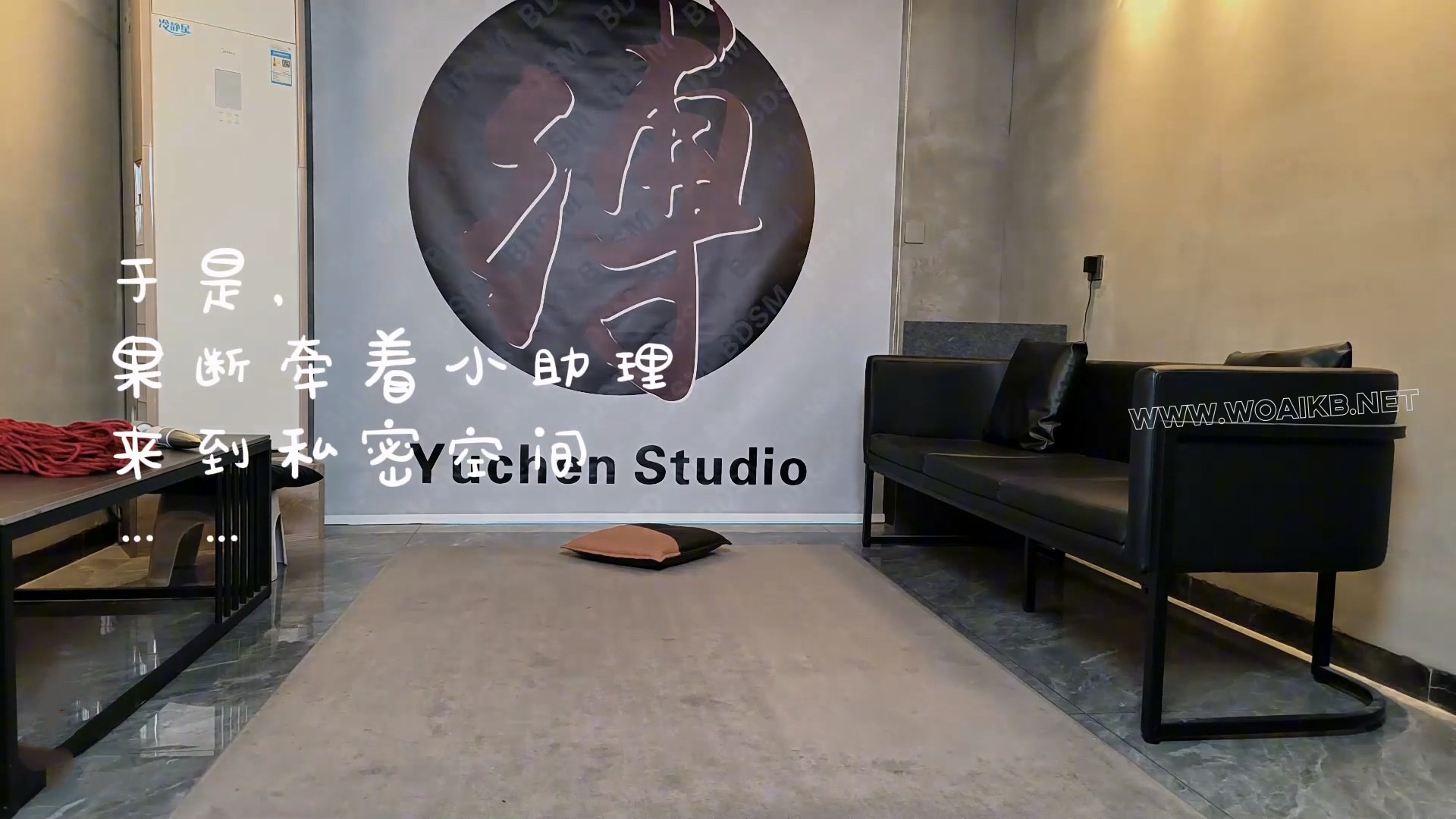 调教罢工小助理 红绳悬吊 强制高潮 驷马虐阴 羞辱玩弄 渐入佳境 犬姿训练 K9游戏 预览图