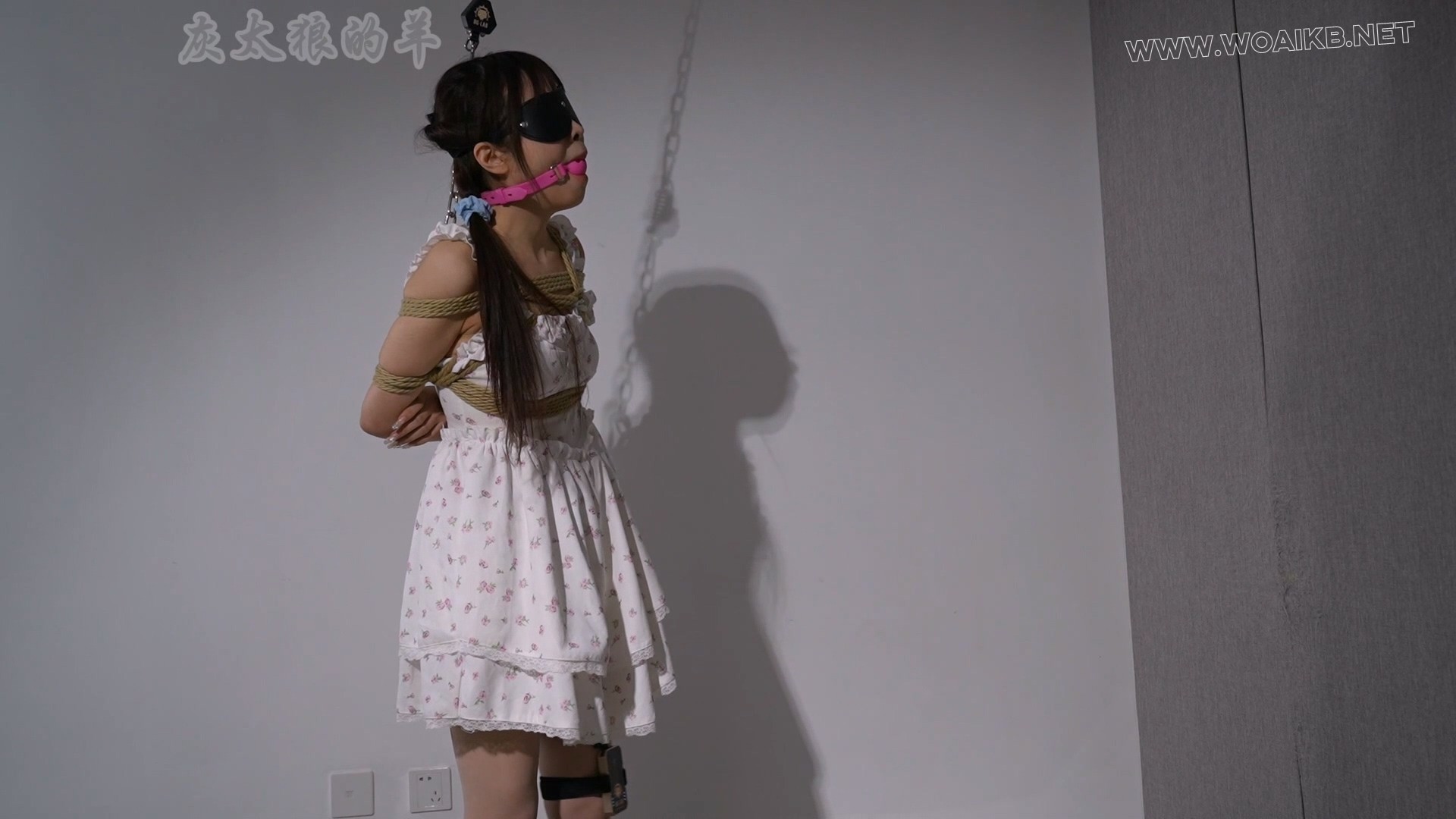 清纯美女碎花裙下口球与郊狼惩罚“ “驷马TK+限制站立”被电击的哇哇叫！ 预览图