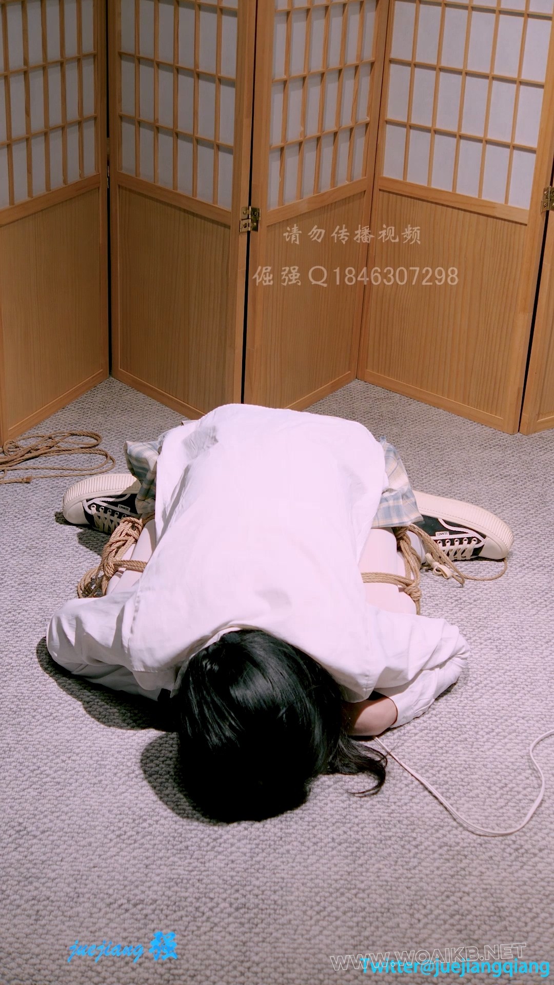 小琦支架折磨定拍 预览图