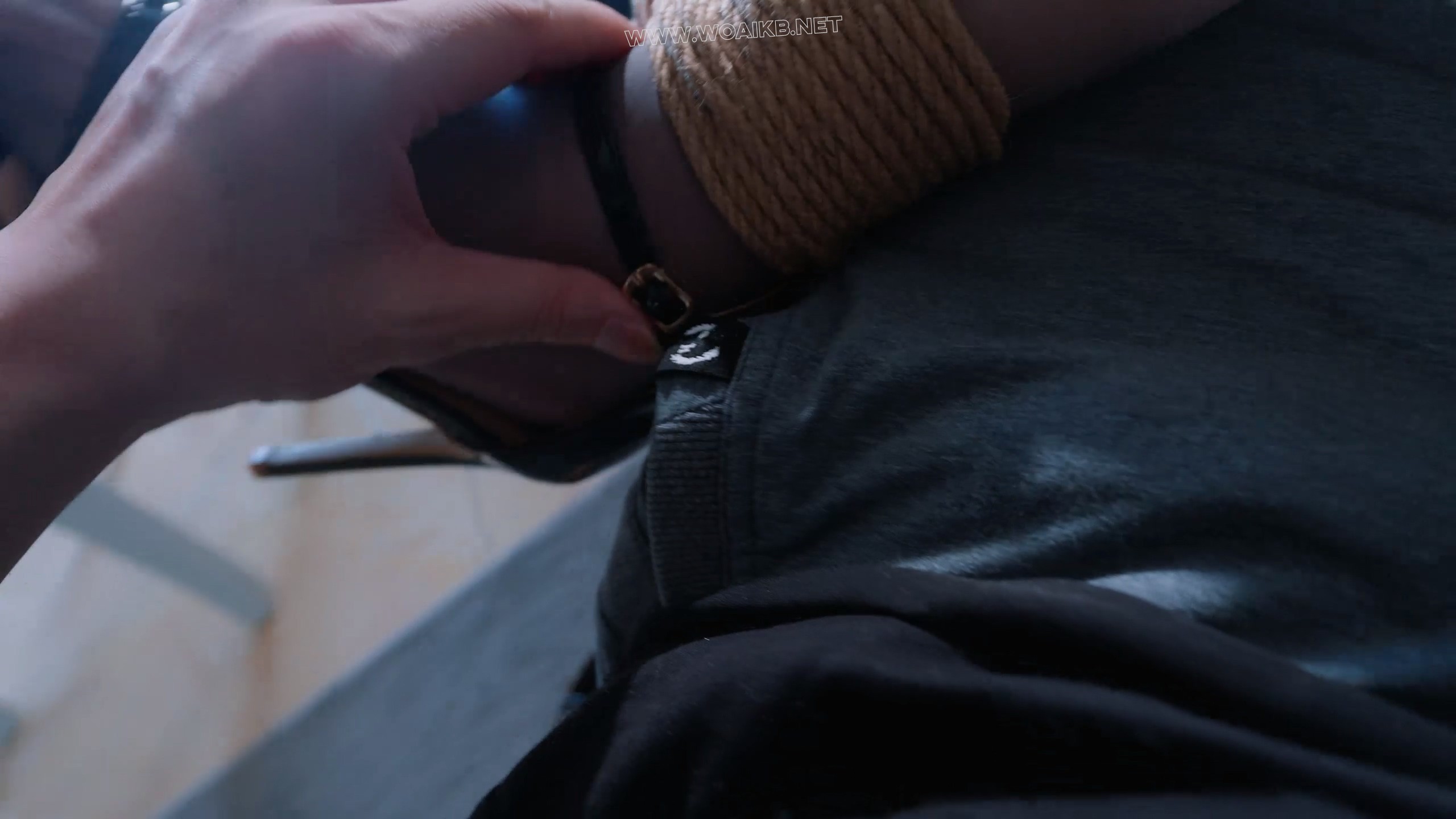 《女侦探3》美女探员为寻找失联多日的同事下落，与被捕的组织成员达成交易，伪装成 预览图