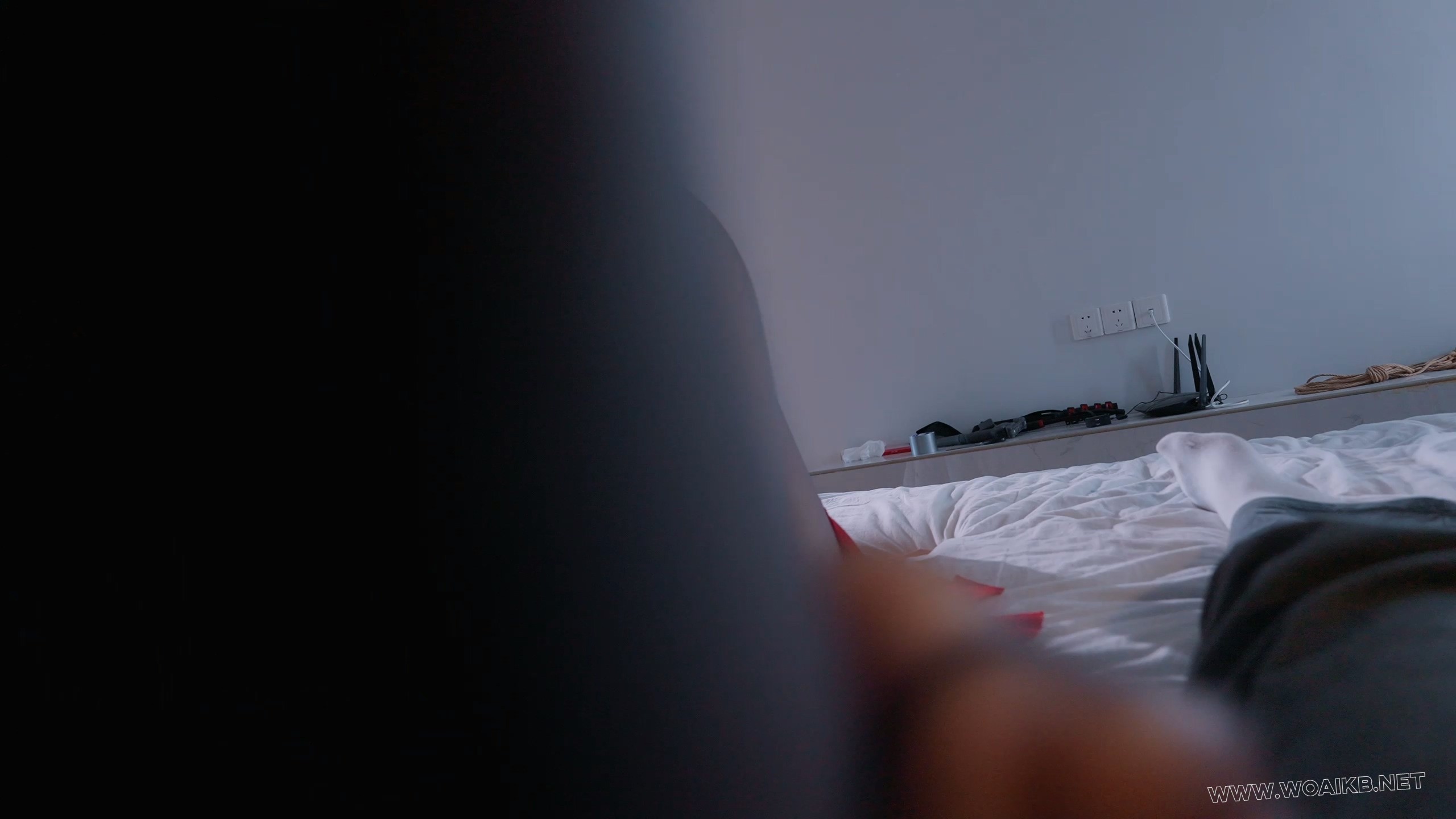 《女侦探3》美女探员为寻找失联多日的同事下落，与被捕的组织成员达成交易，伪装成 预览图
