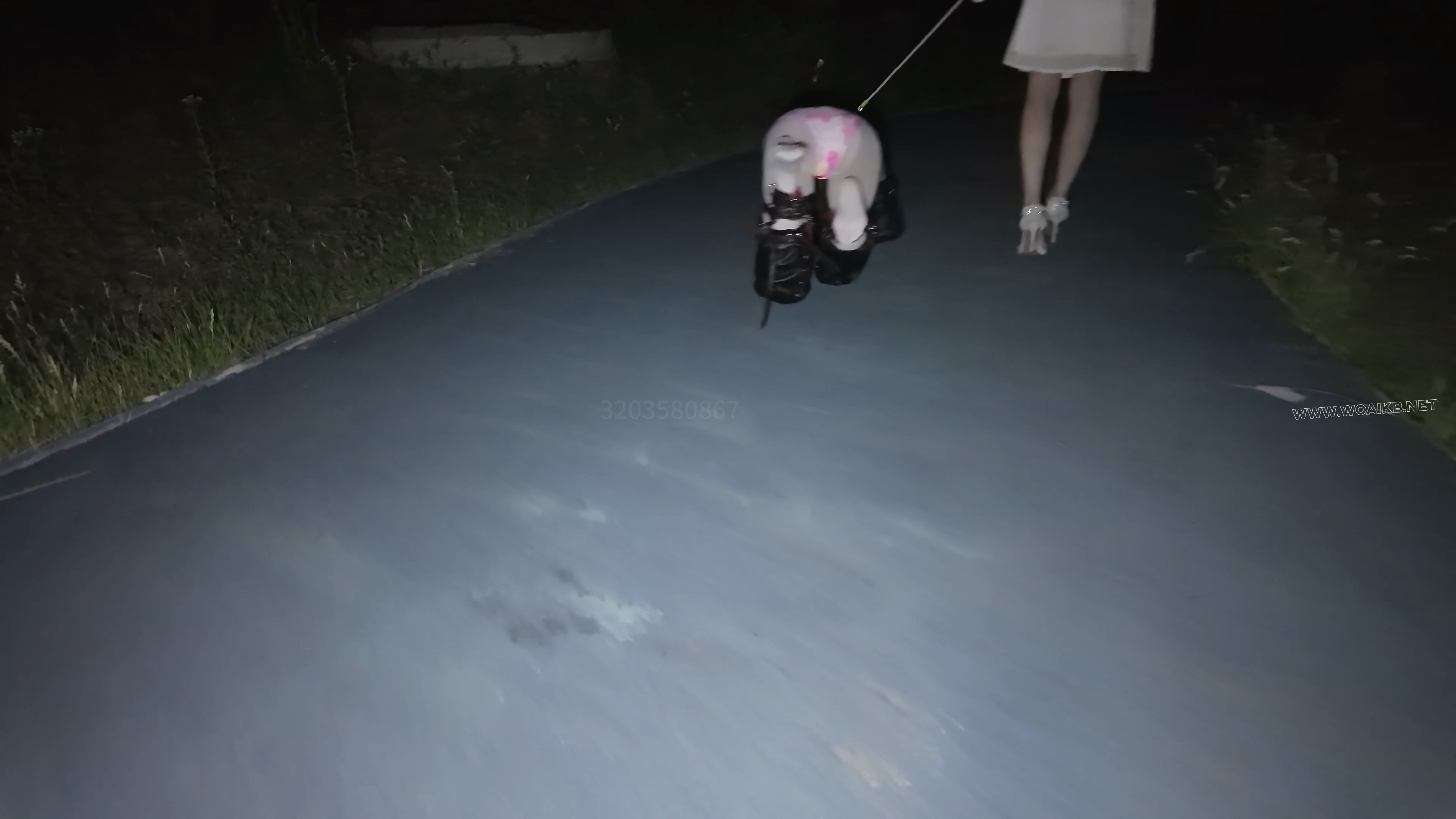 亲姐牵着被k9束缚的妹妹公园露出 少萝霜喵又是被姐姐梦婷tj了，这次佩戴了震动假y 预览图