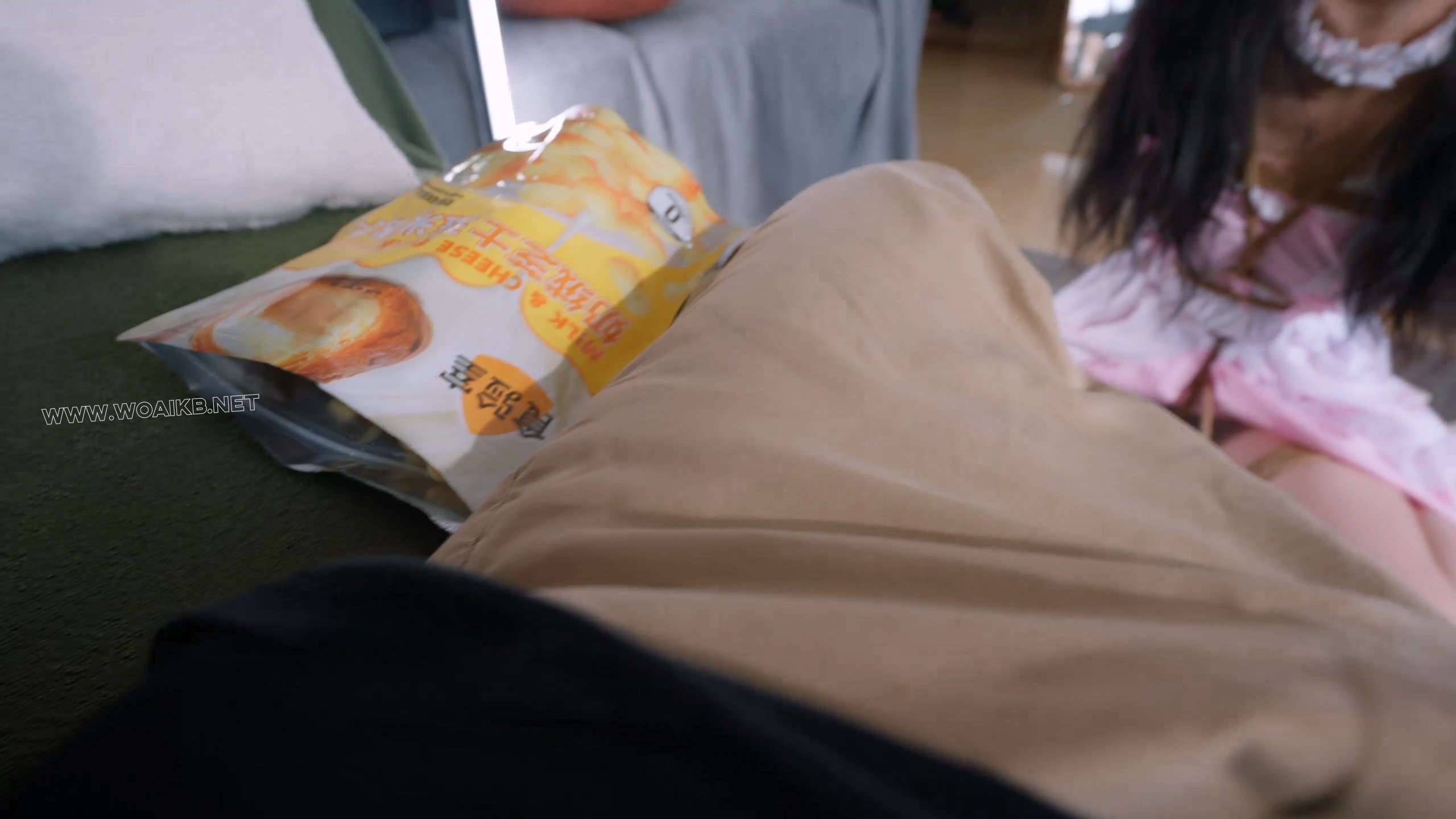 《在劫难逃3》肉肉被换上粉色女仆装与肉色丝袜，手脚被绳索束缚成犬状，用手肘跪地 预览图