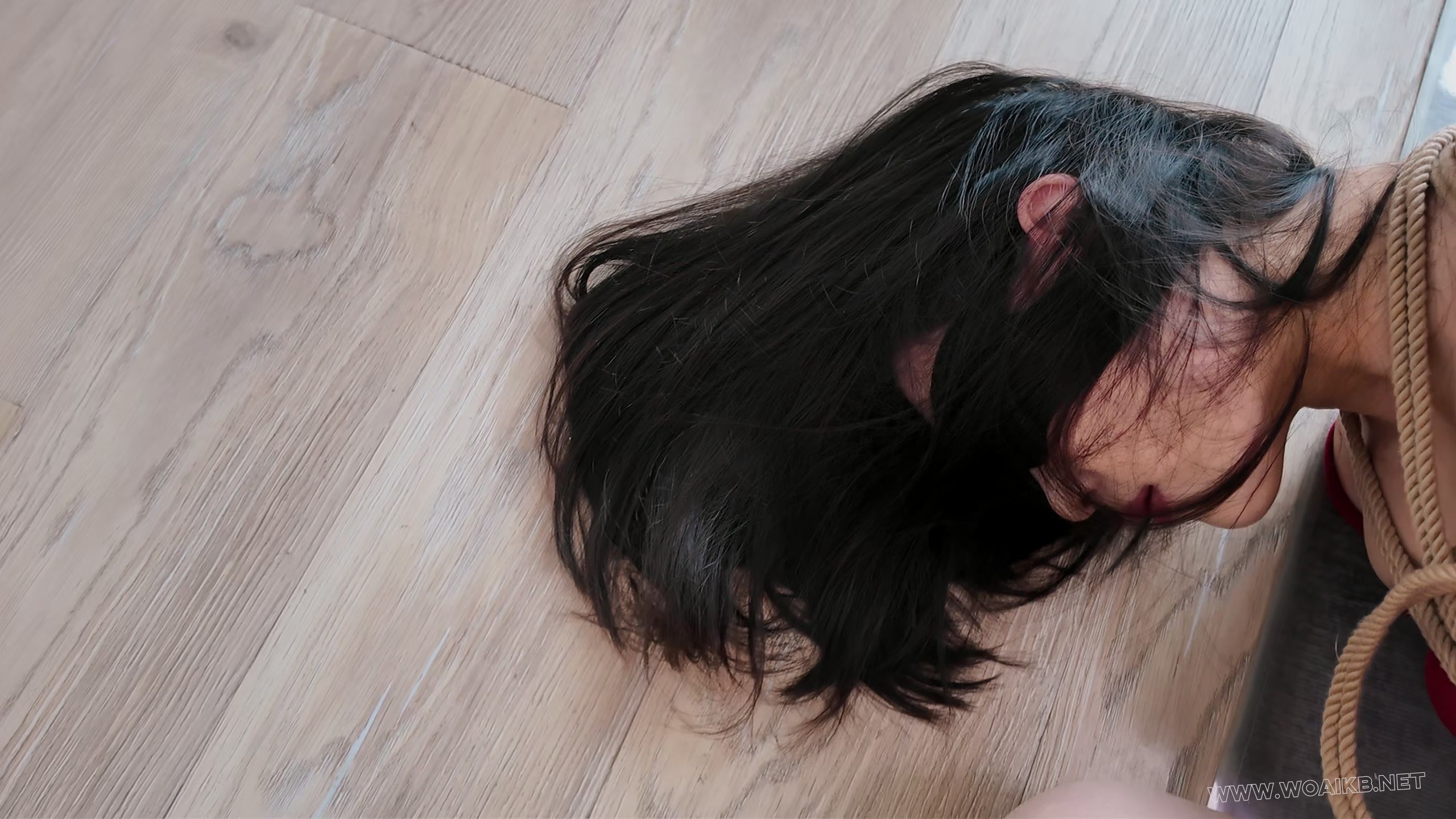 第十五部《人妻惩戒所》小南篇（上集） 预览图