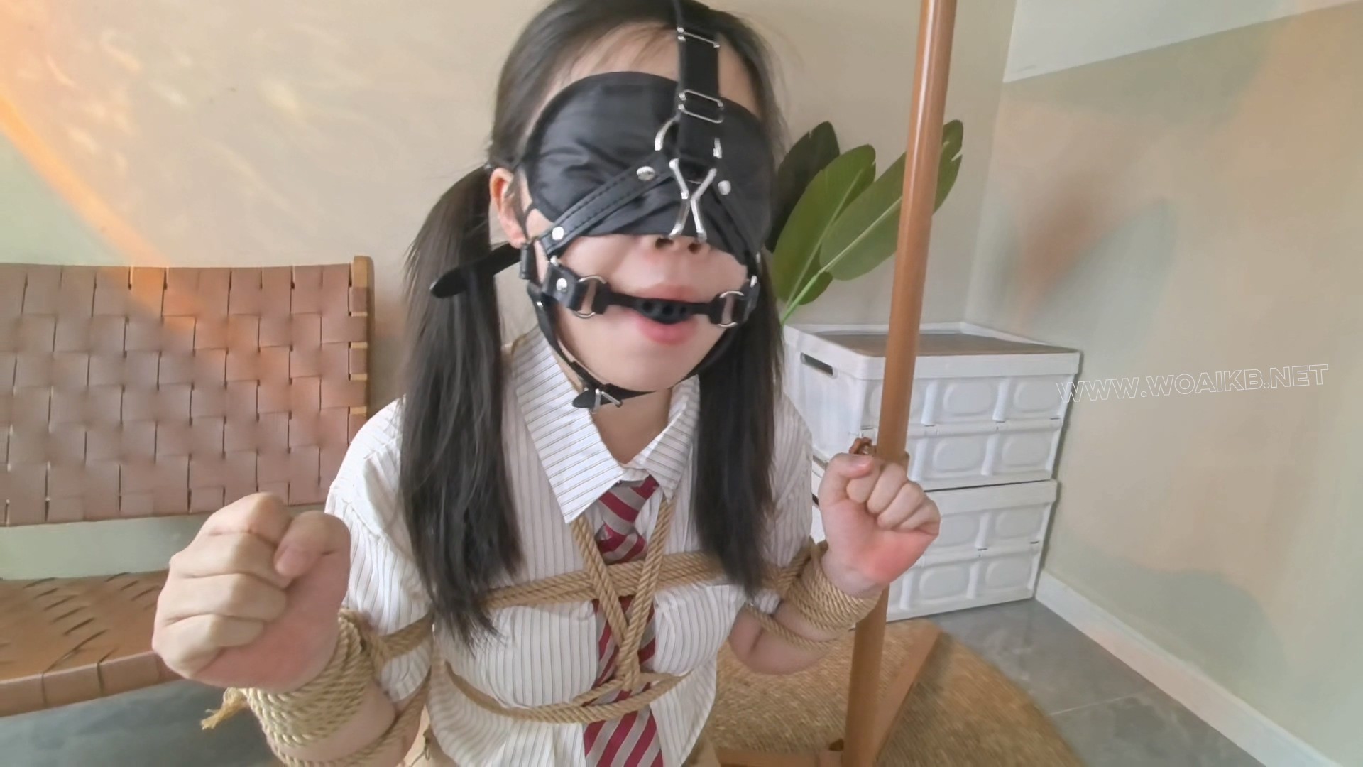 【她们的故事】双倍快乐 沐浴阳光 与主共虐一犬 电击内置震动强高 牵引 zentai女单 预览图