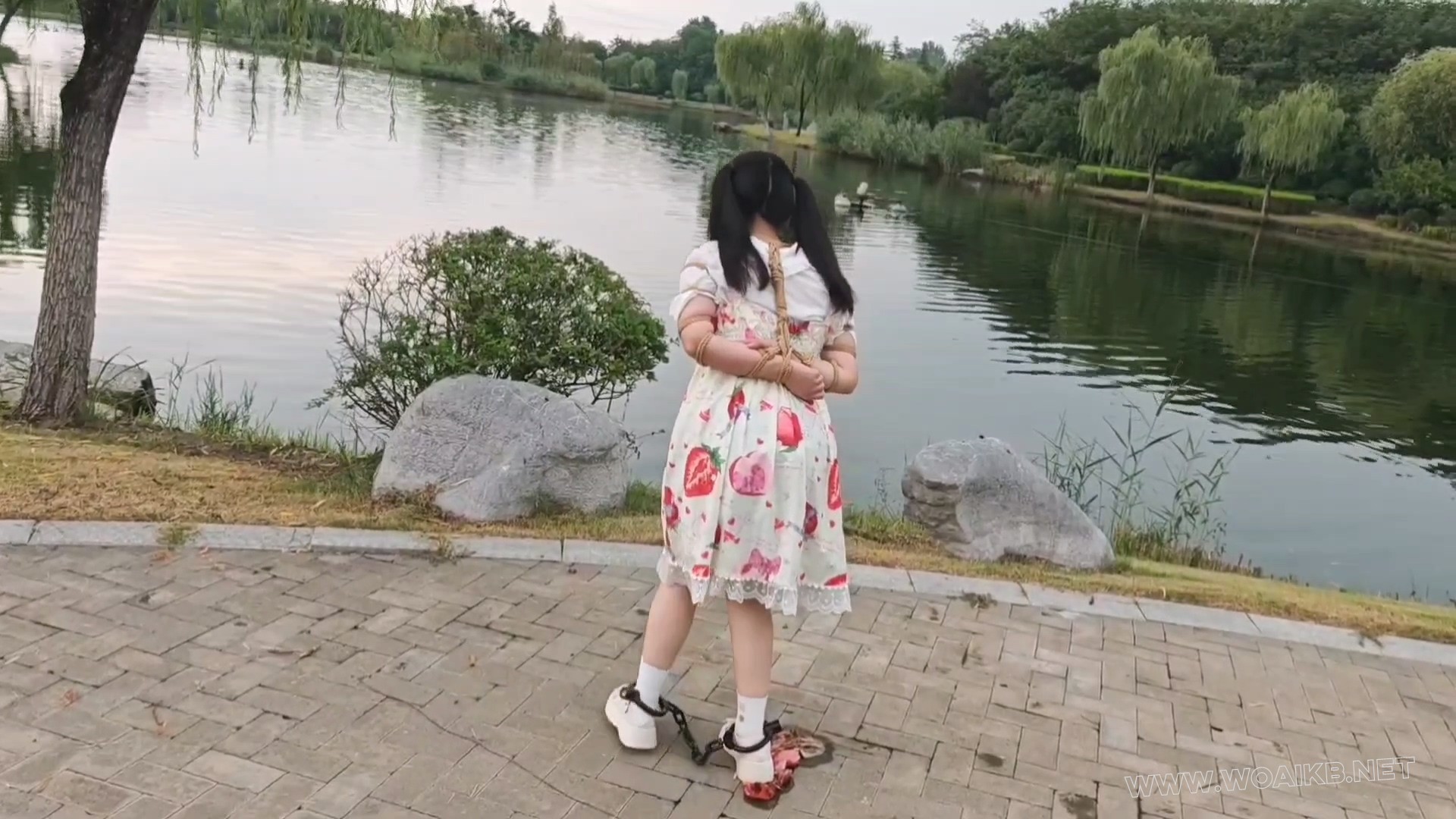 双马尾小萝莉雨天Lolita五花大绑脚镣公园TD调教押解 预览图