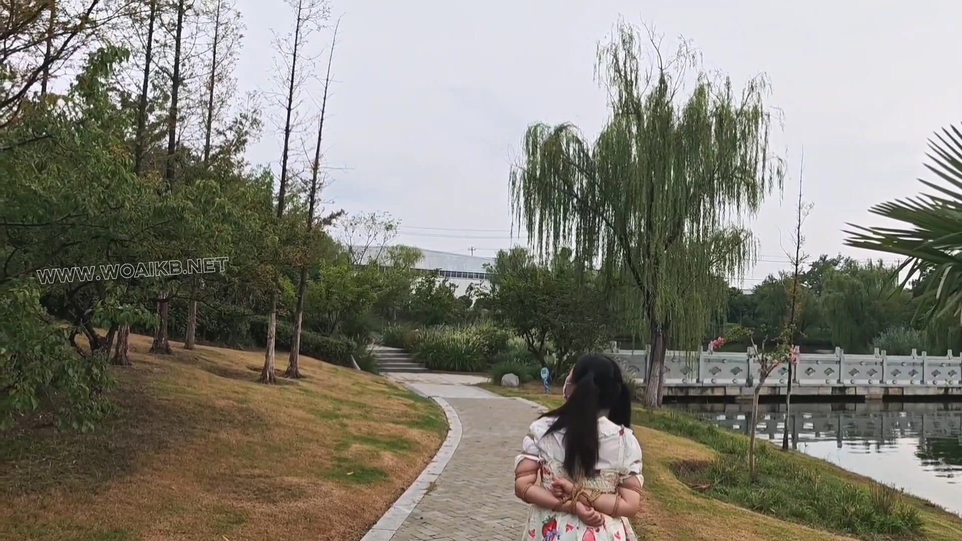 双马尾小萝莉雨天Lolita五花大绑脚镣公园TD调教押解 预览图