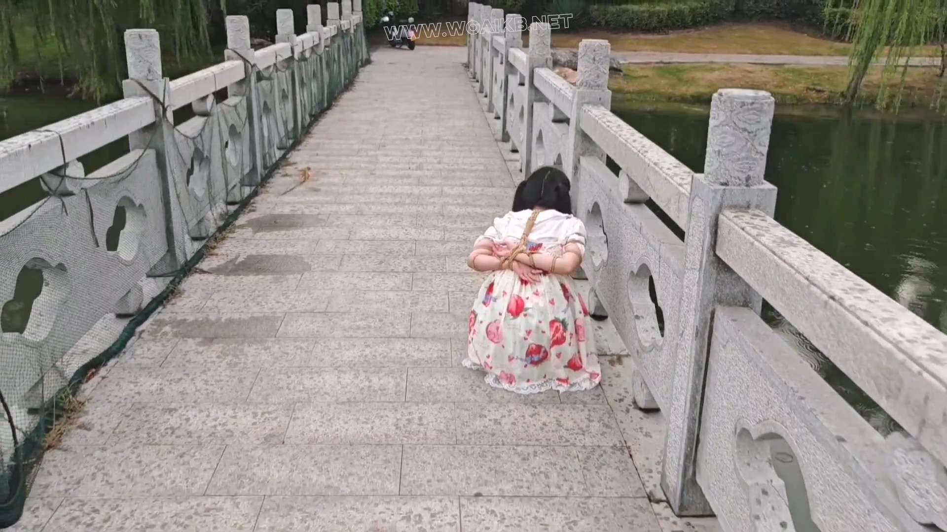 双马尾小萝莉雨天Lolita五花大绑脚镣公园TD调教押解 预览图