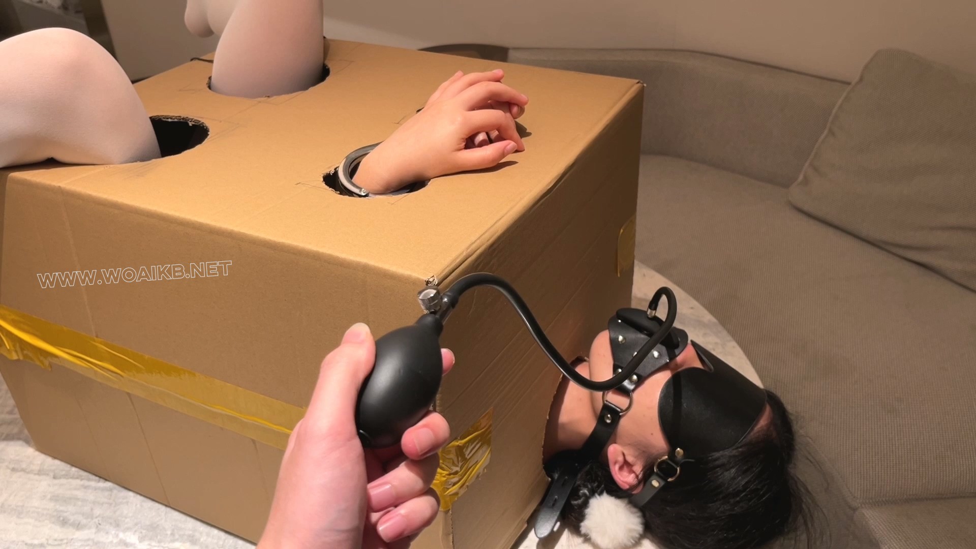 【箱子改造计划beta1.0】郊狼、无内白丝、CHA入式YYDS 预览图