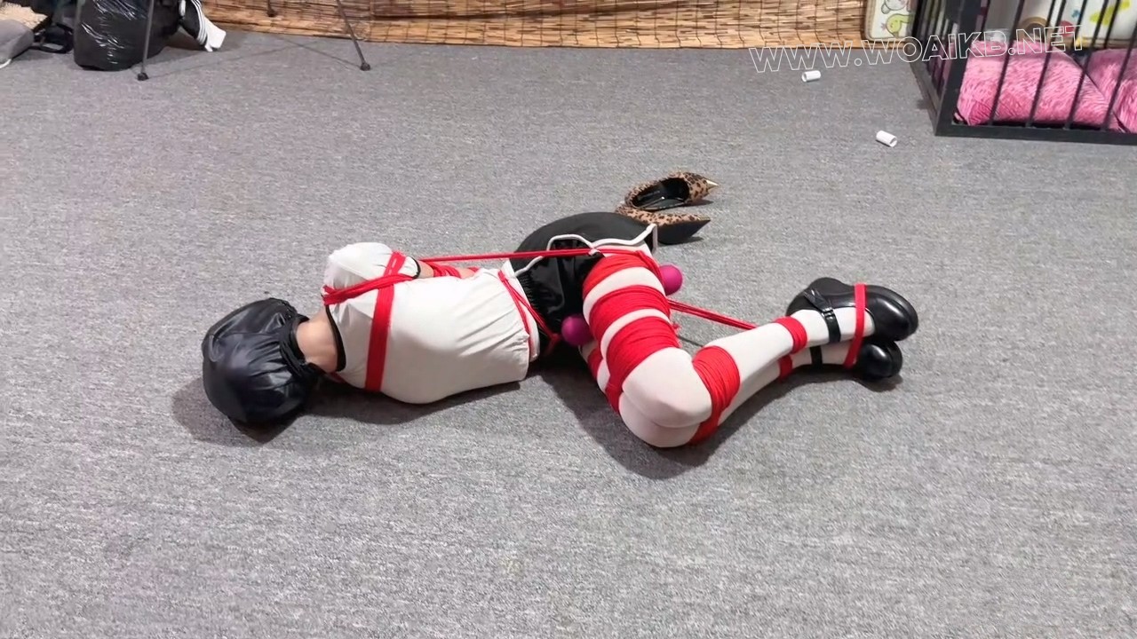 凌辱清纯白袜小学妹 预览图