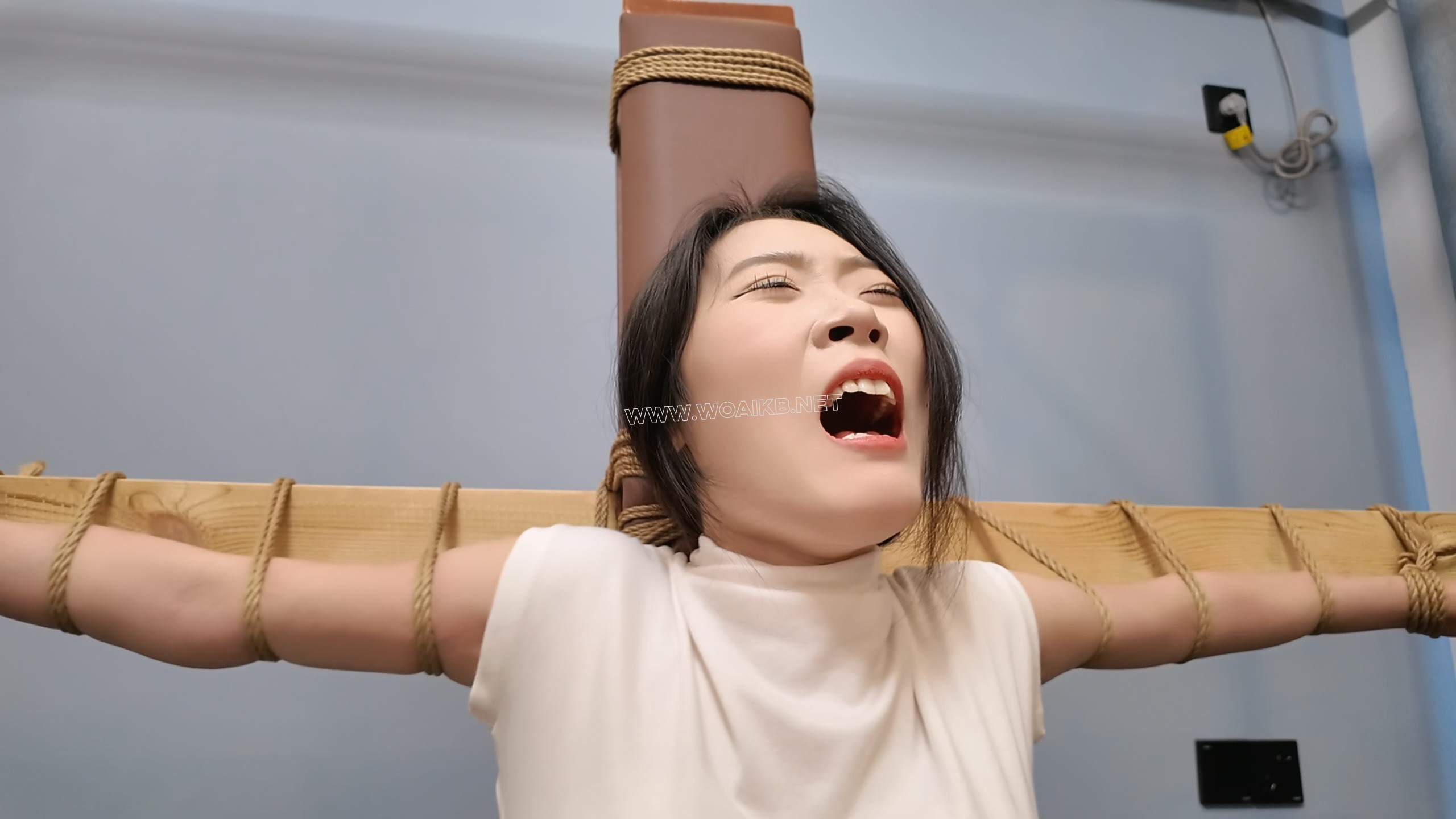 定拍小夏老虎凳2 预览图