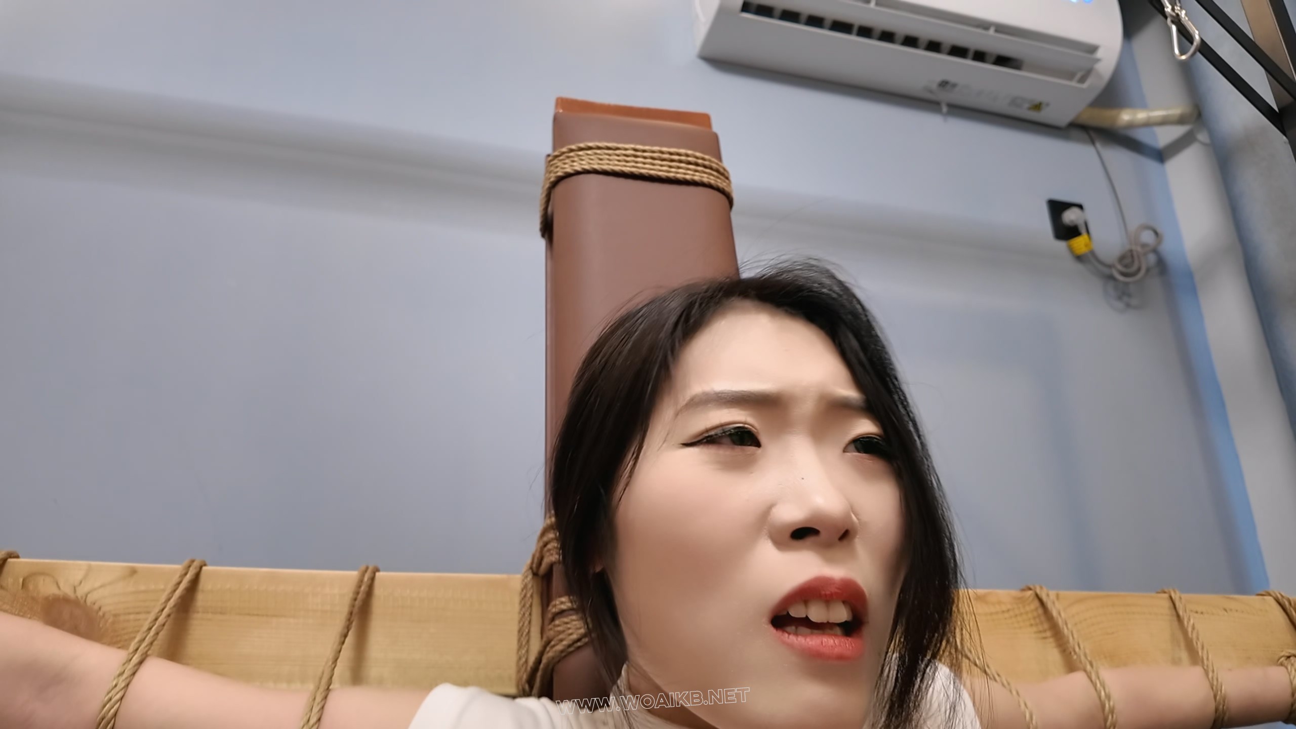 定拍小夏老虎凳2 预览图
