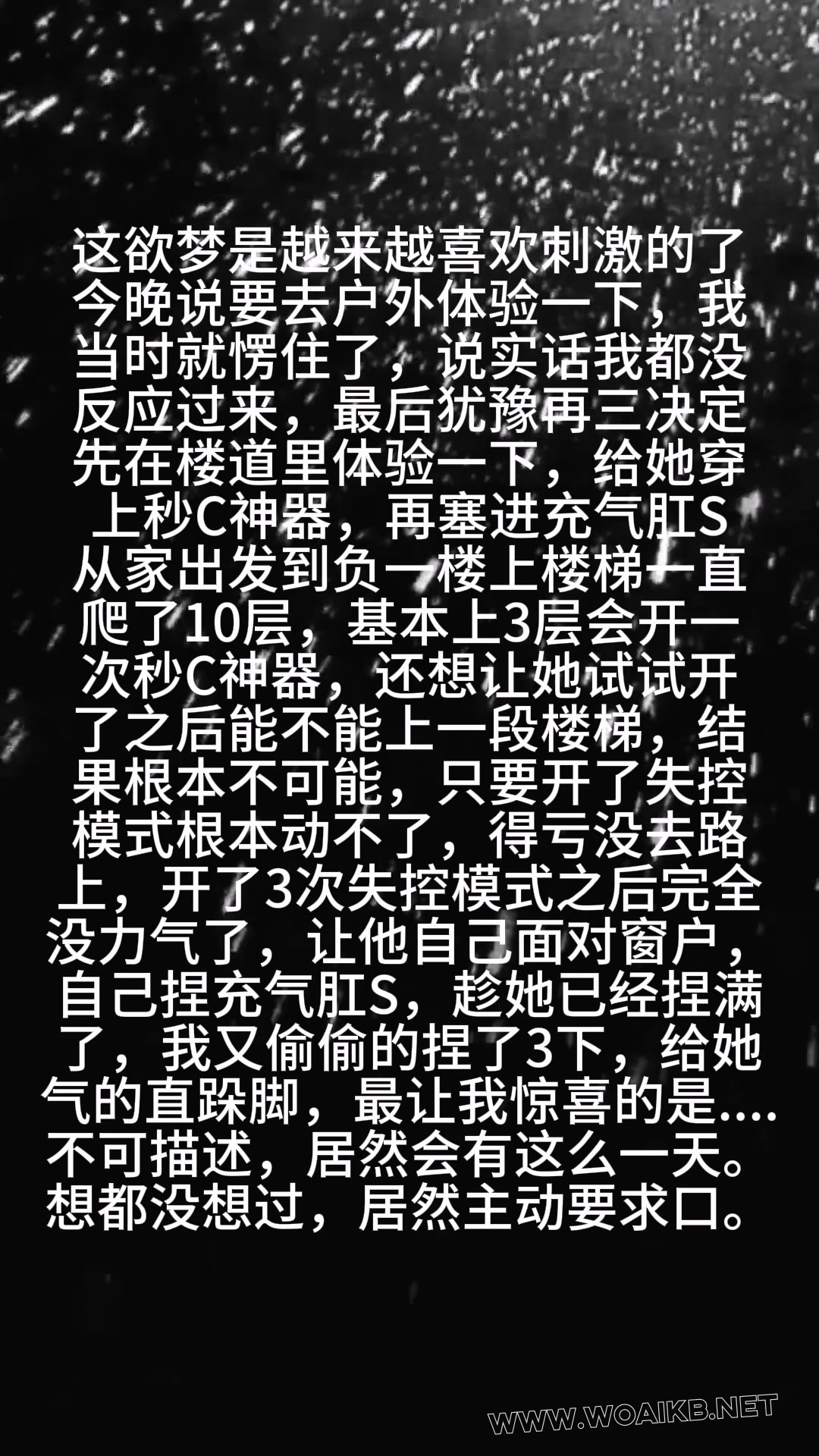 第五十三部 《户外之楼梯调教秒C神器+充气肛S》 封面图
