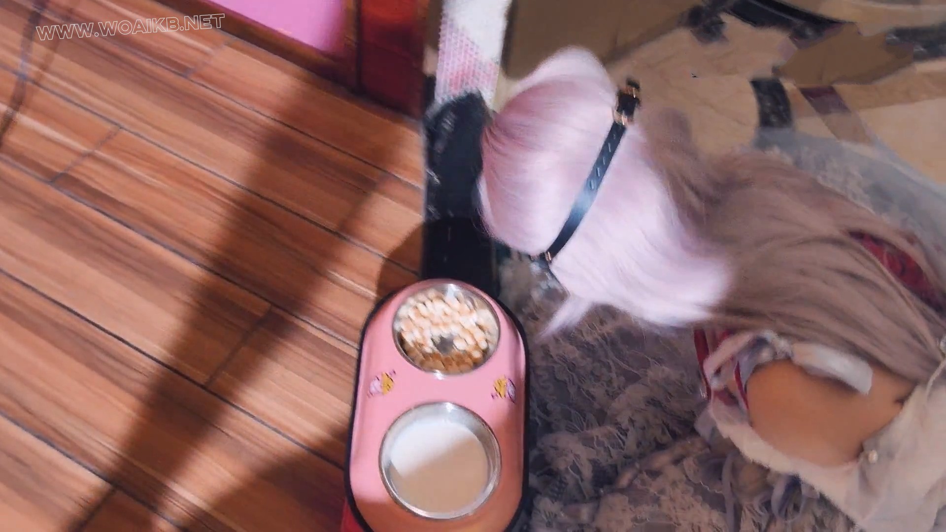 【洛丽塔猫娘被逼迫舔食狗盆里的食物和牛奶 外加舔香蕉】（从宠物店真实购入狗盆 预览图