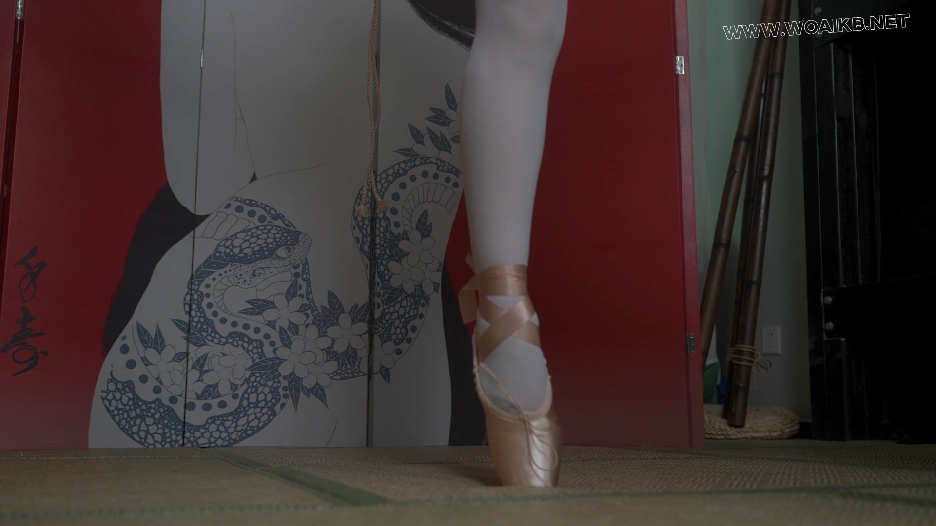 小0-超硬核芭蕾舞鞋，强制踮脚 1H！ 预览图
