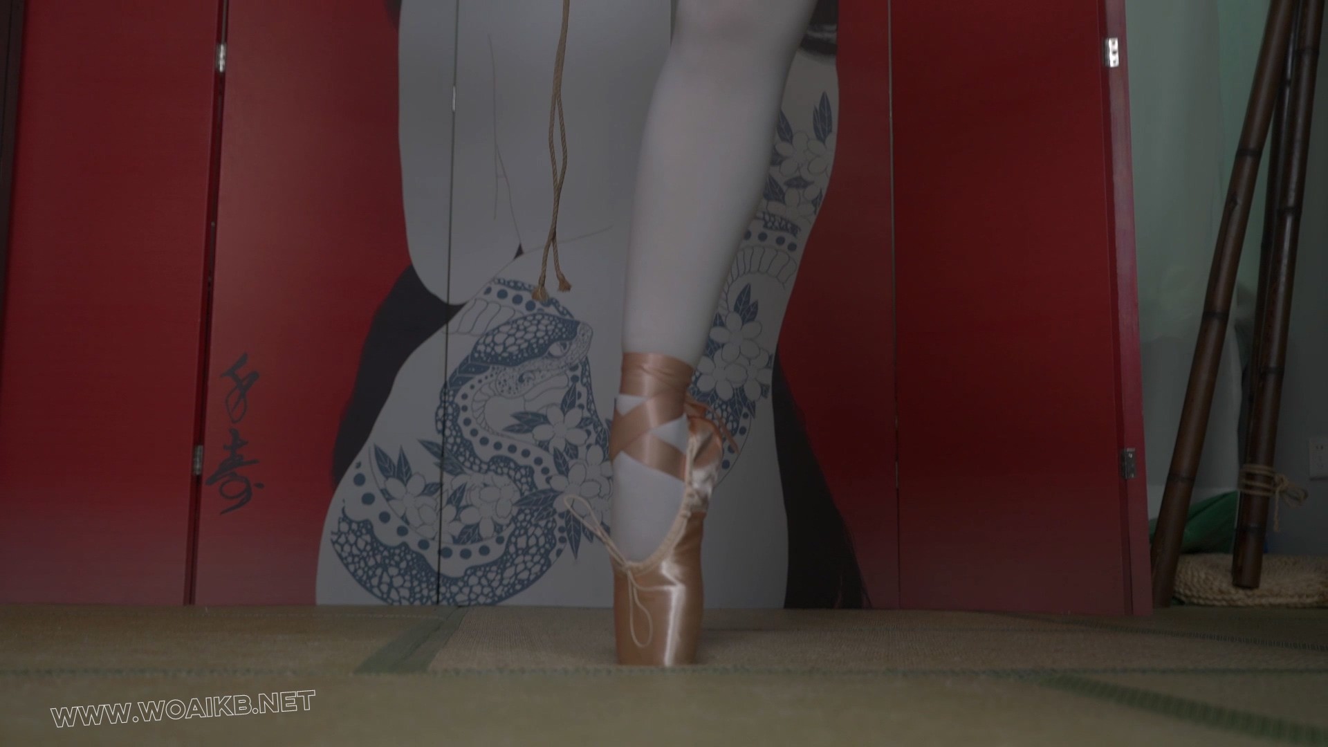 小0-超硬核芭蕾舞鞋，强制踮脚 1H！ 预览图