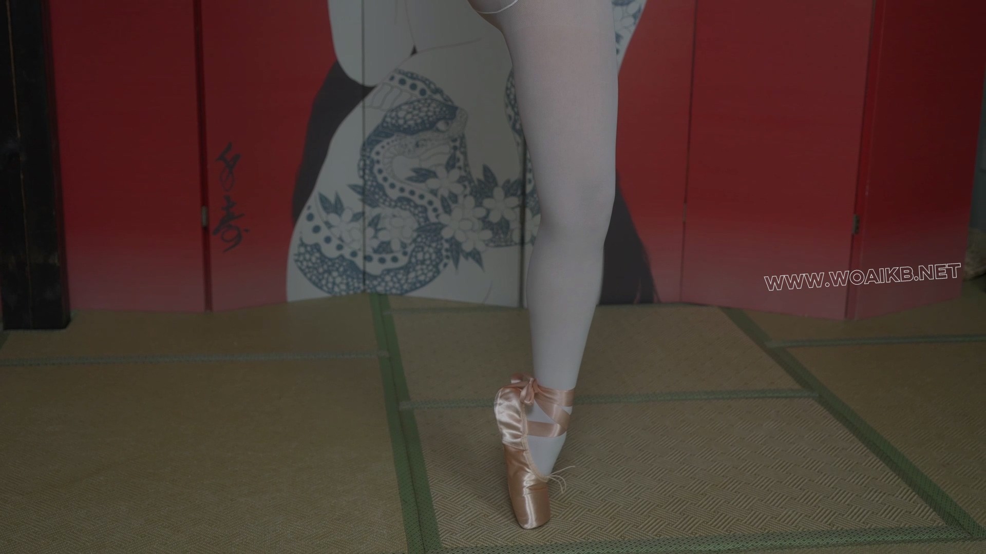 小0-超硬核芭蕾舞鞋，强制踮脚 1H！ 预览图