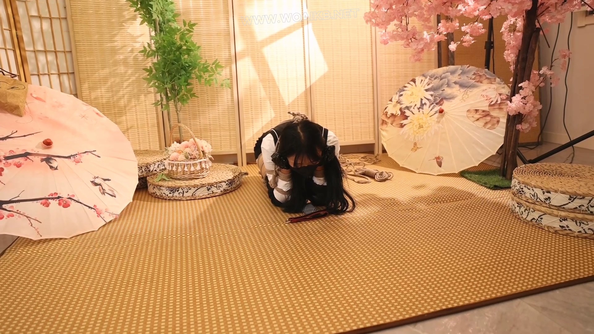 双马尾精致少女北北的犬缚调教，少女犬奴听从主人的指令。 预览图
