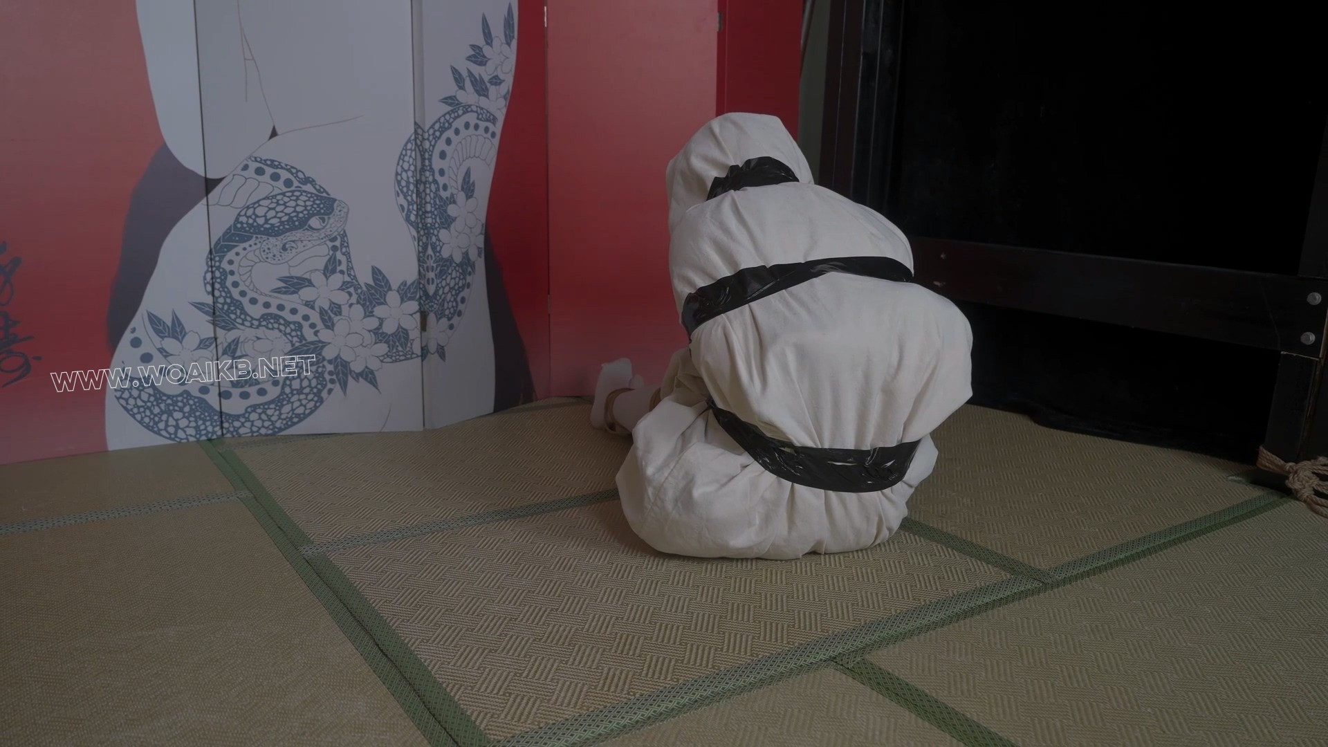 小0-COS 菲比 驷马tk 装袋带走！ 预览图