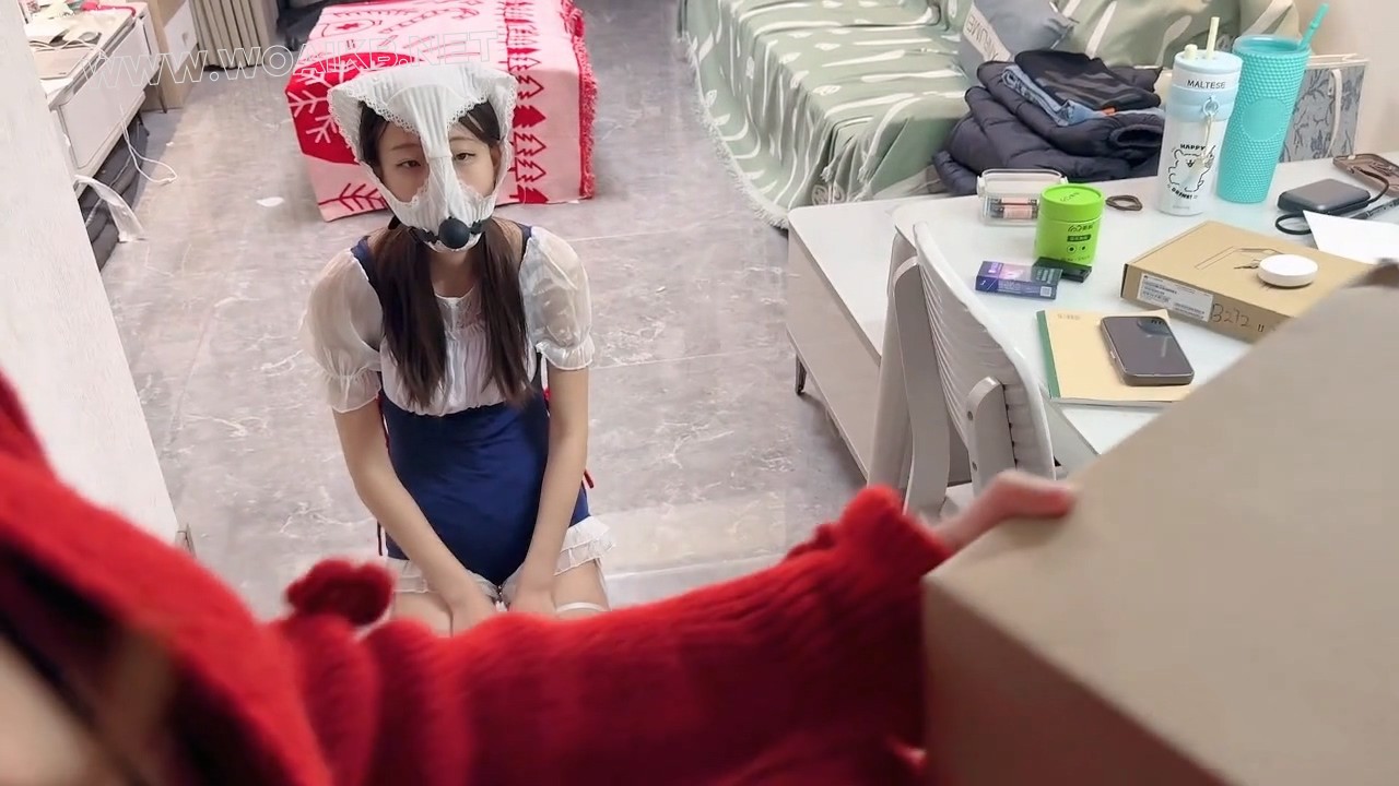 私人定拍-女仆的行走足虐调教（1) 预览图