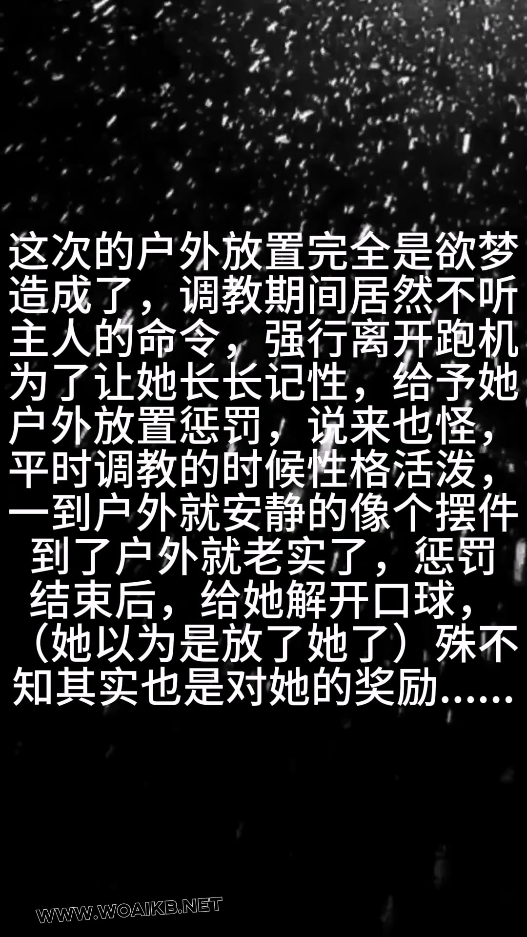 第七十二部 客户定拍《调教叛逆之户外惩罚》+结尾奖励 封面图