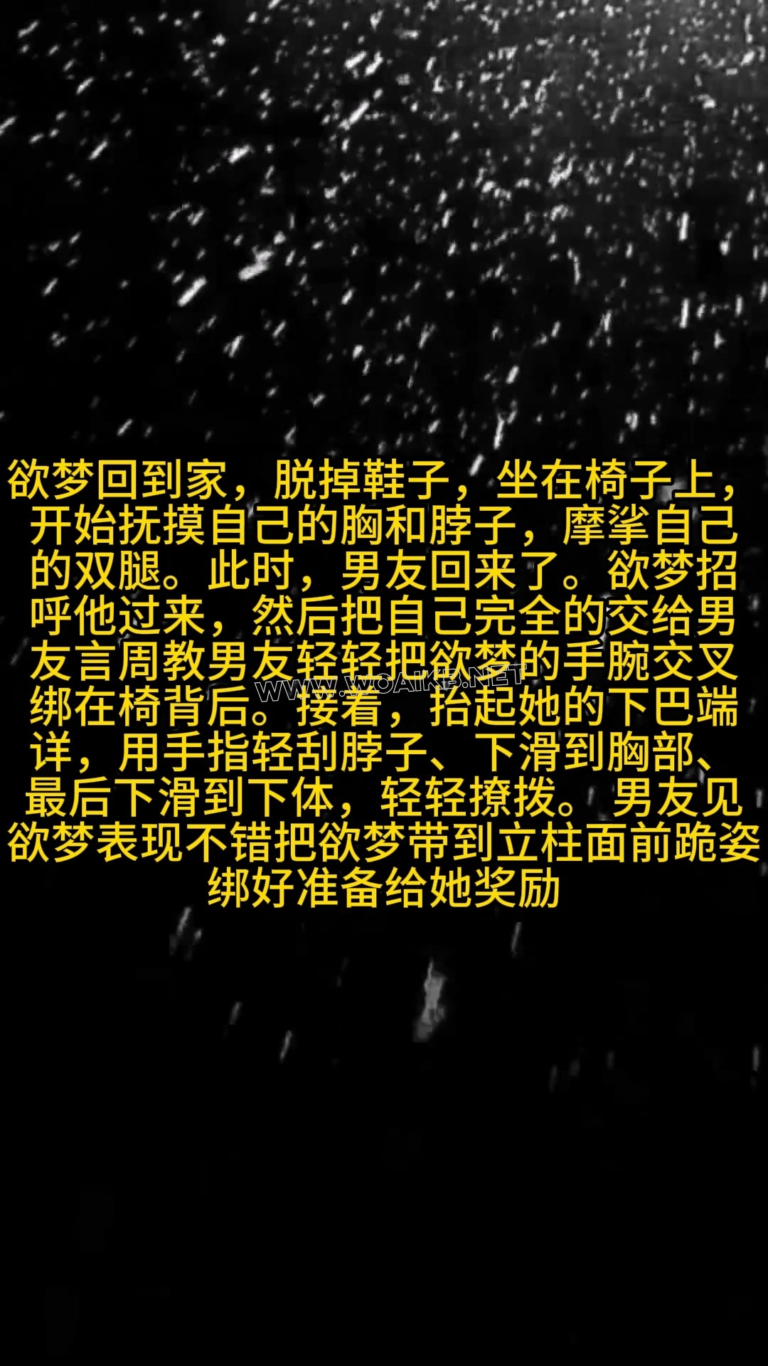 第八十三部 客户定拍《OL男友抚摸调教+TK》 封面图