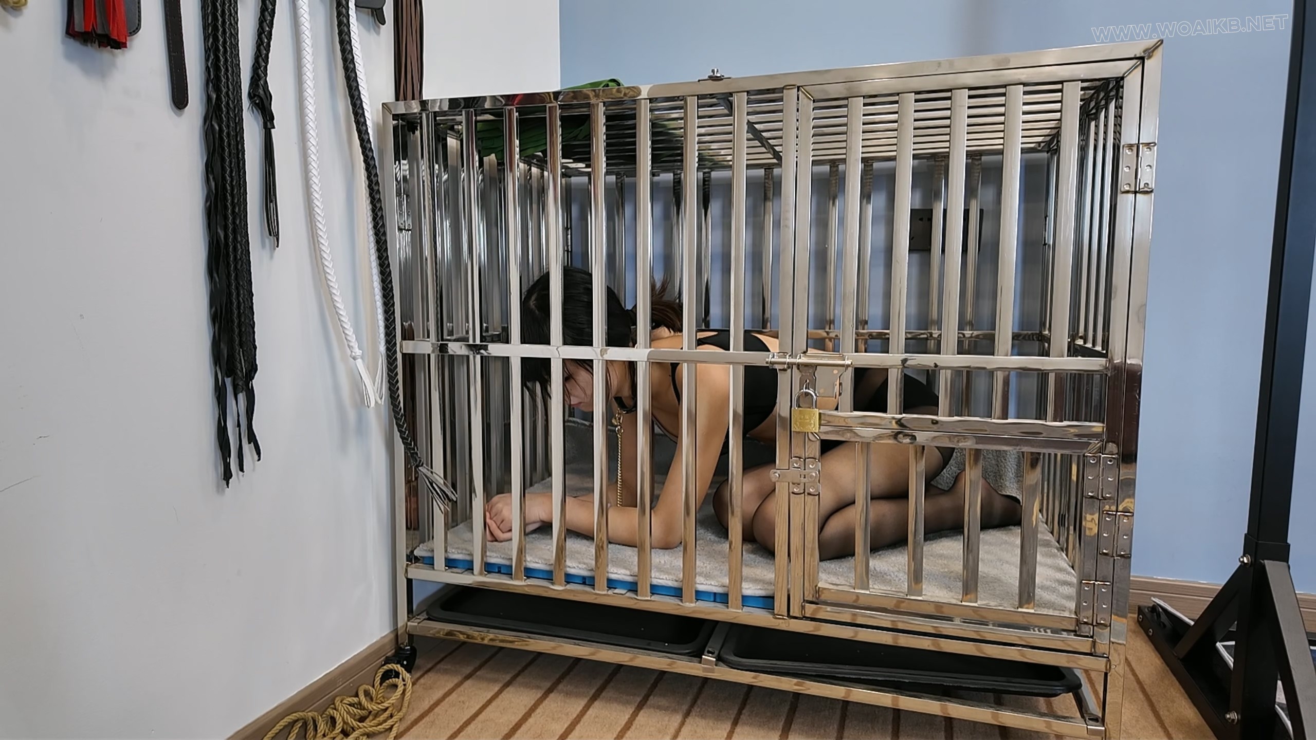 迷晕晓倩系列下集 预览图