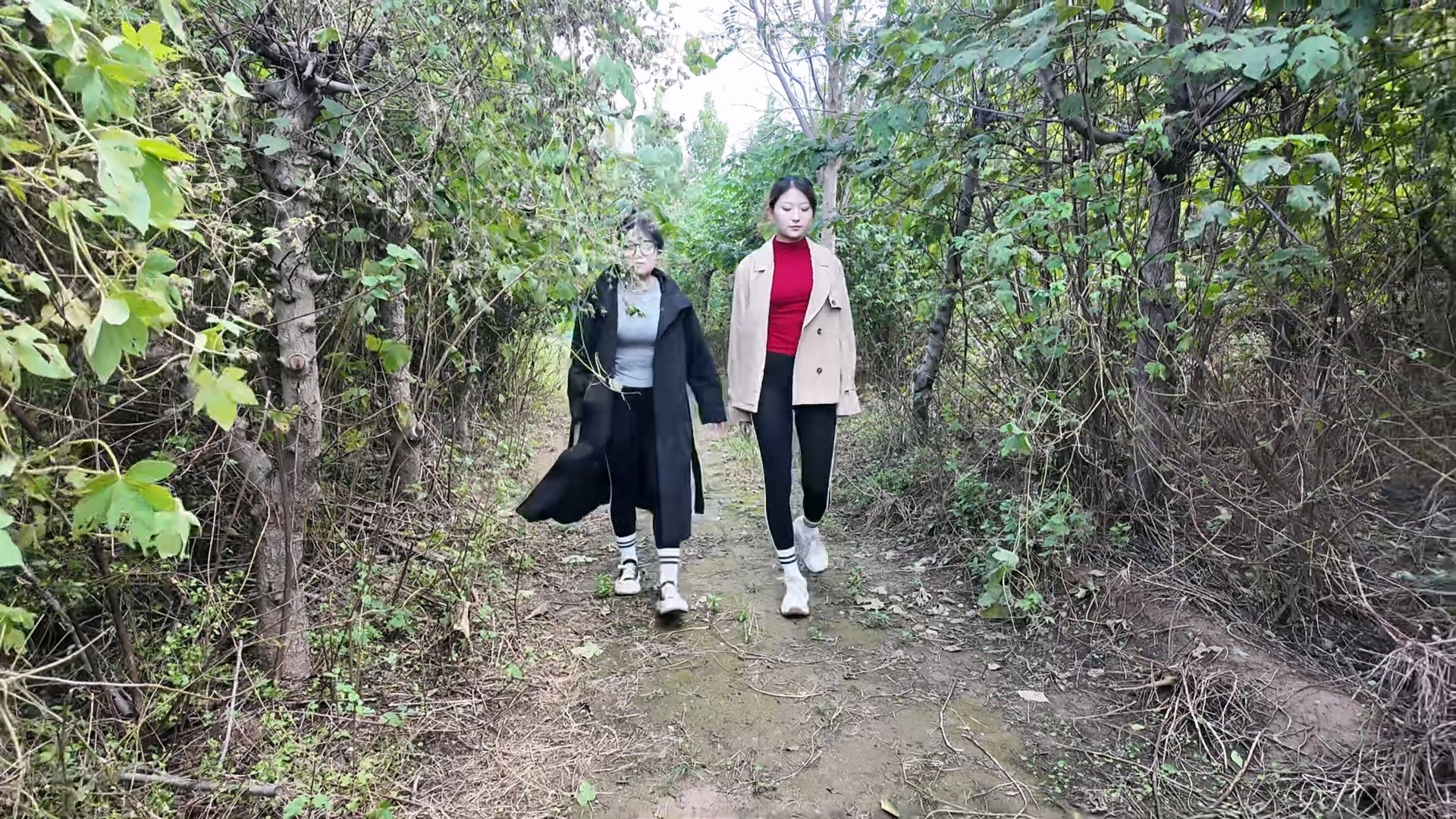 踏青之TK、SP游戏上集 封面图