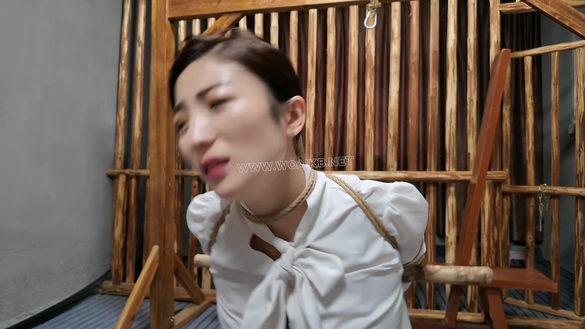 女友佳佳刑椅 预览图