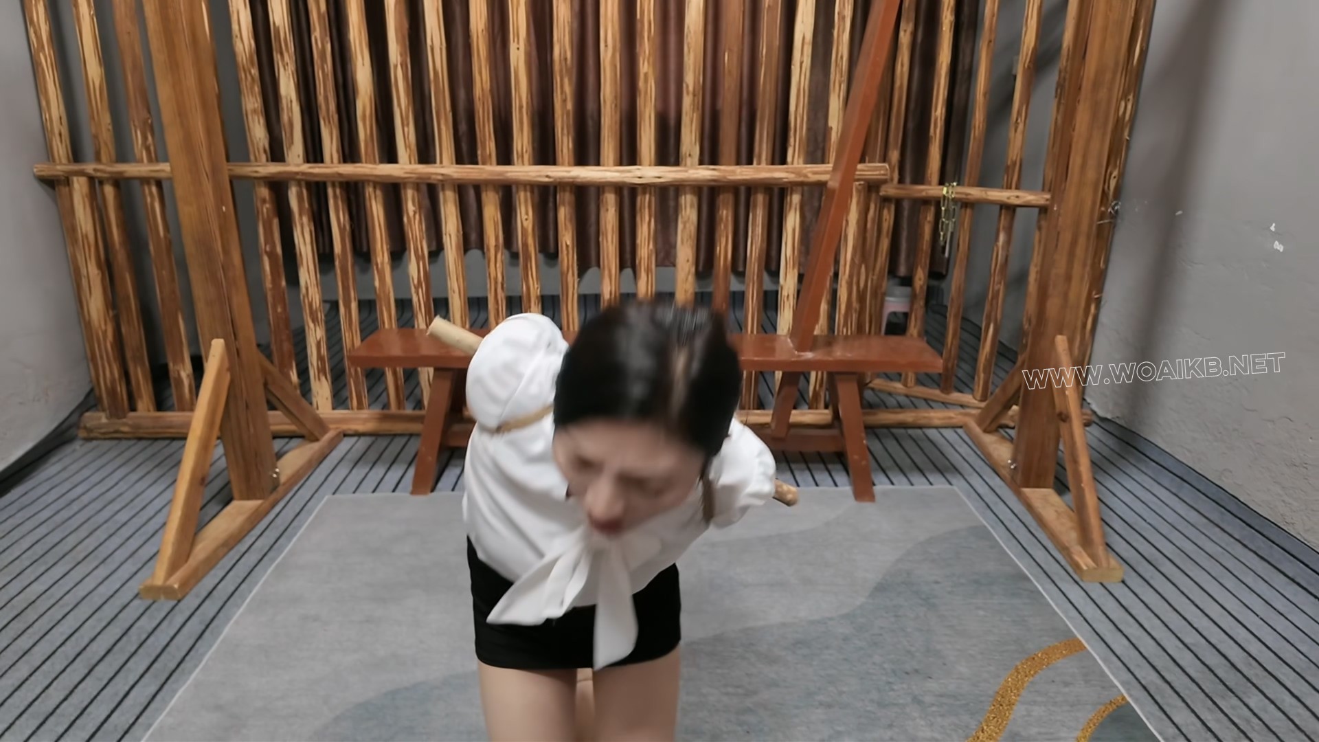 女友佳佳刑椅 预览图