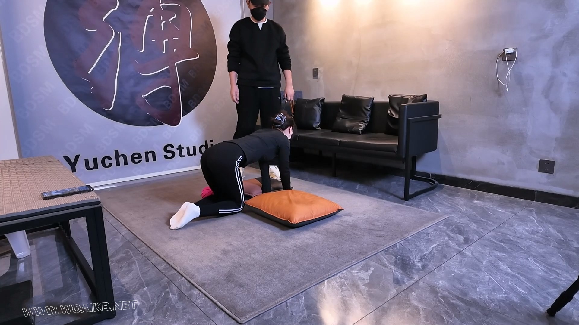 绳艺直播之一只K9的日常 瑜伽裤 K9调教 驷马羞辱 半吊强高 TK加持 粉丝互动 预览图