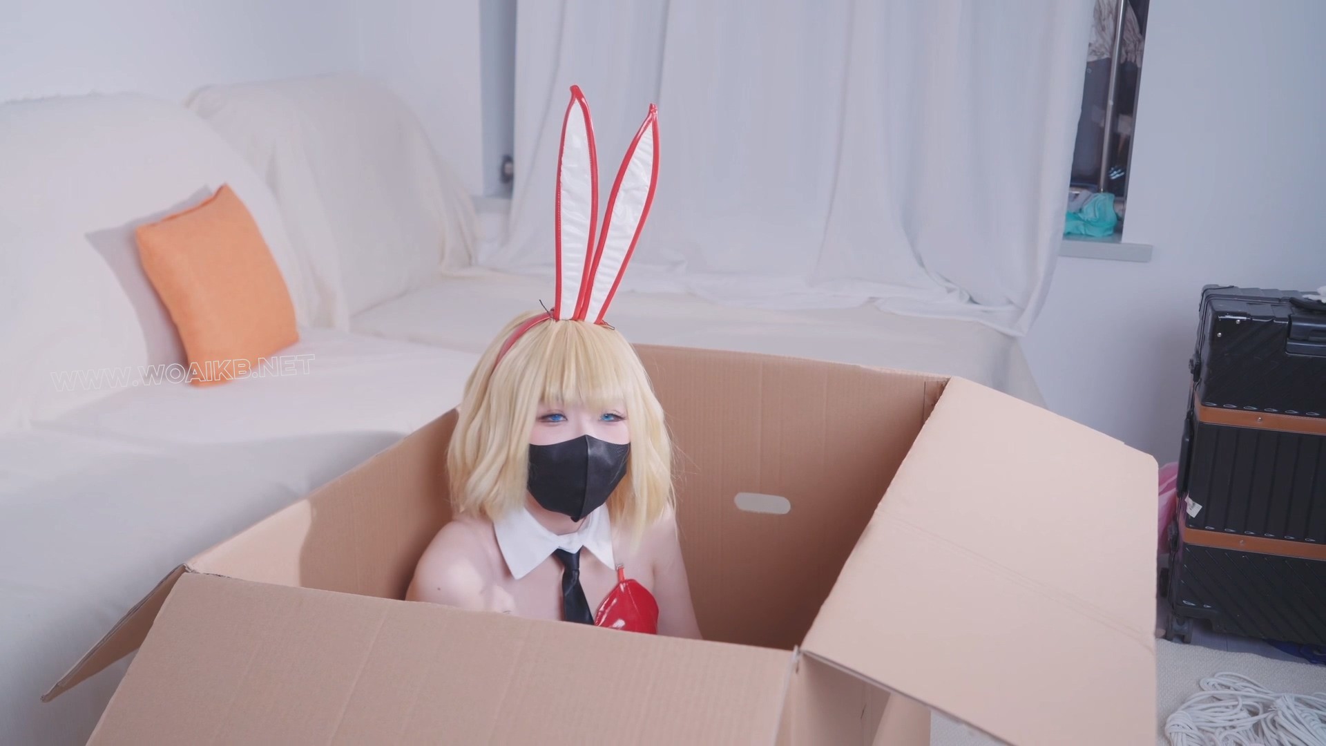 小螺小恶魔兔女郎cos+装箱+震动棒跳蛋强高+M腿白丝美足 预览图