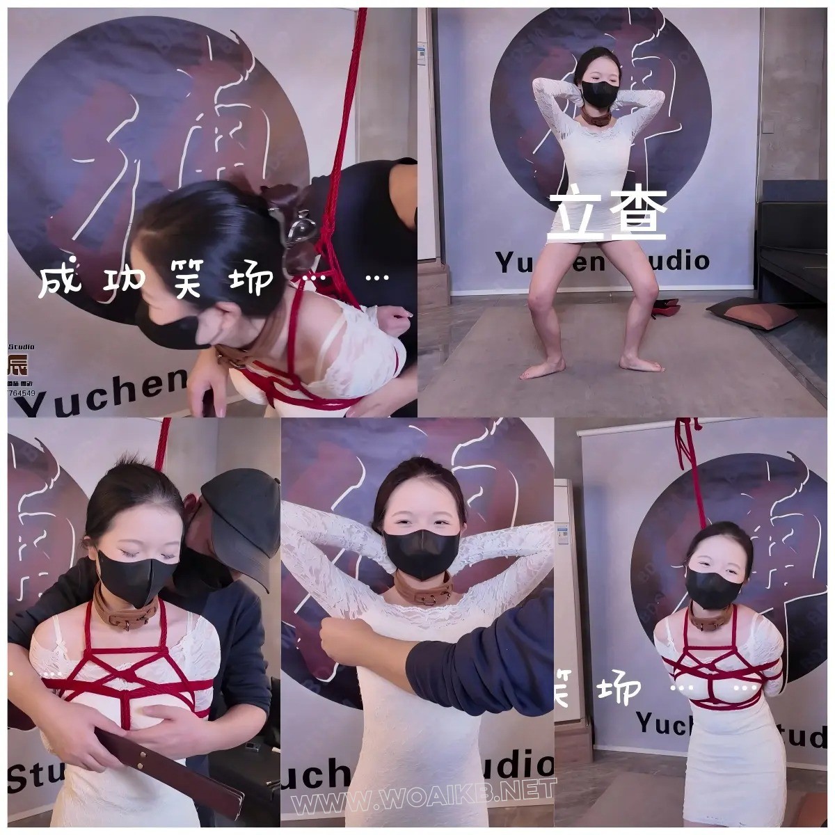 小K9养成记 上 新人试镜 K9调教 吊绑SP 强制TK 后直臂吊打 驷马打脚心 放置挣扎脱逃 封面图