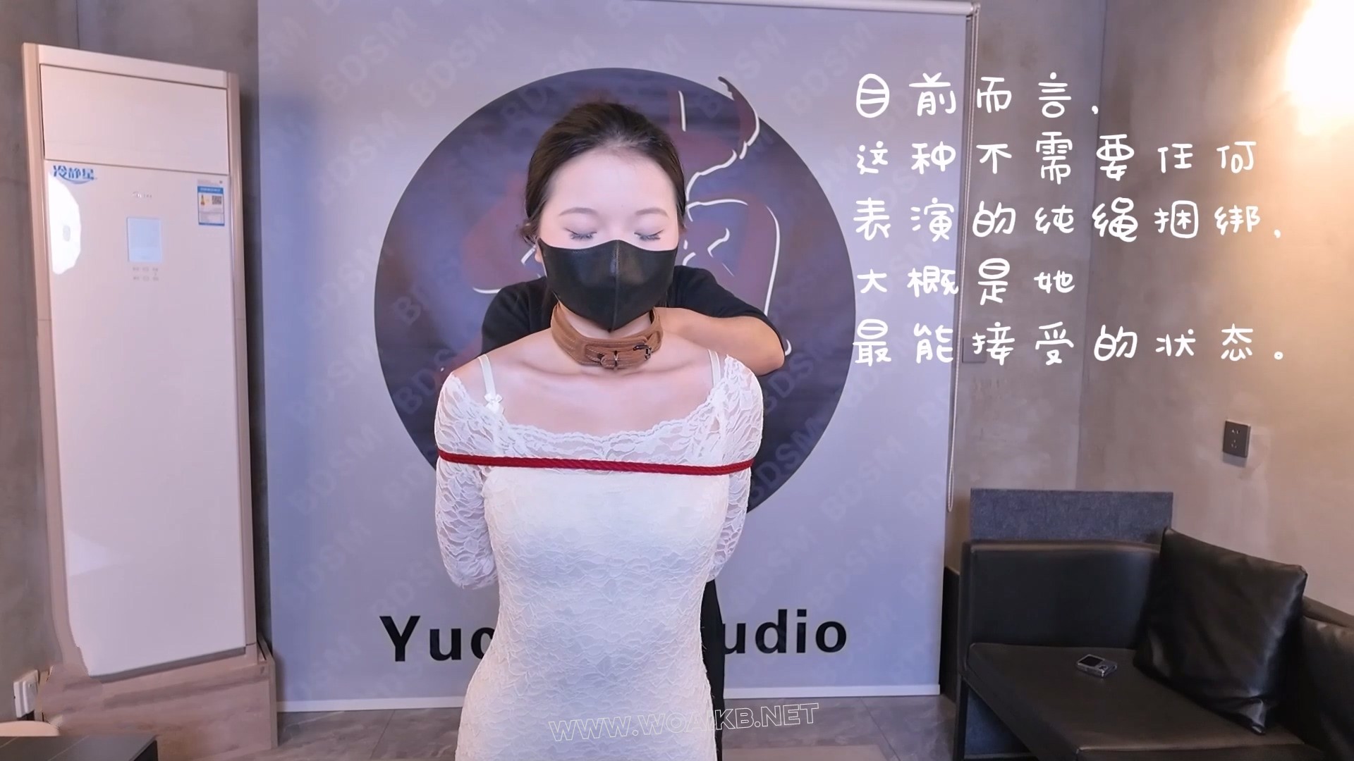 小K9养成记 上 新人试镜 K9调教 吊绑SP 强制TK 后直臂吊打 驷马打脚心 放置挣扎脱逃 预览图