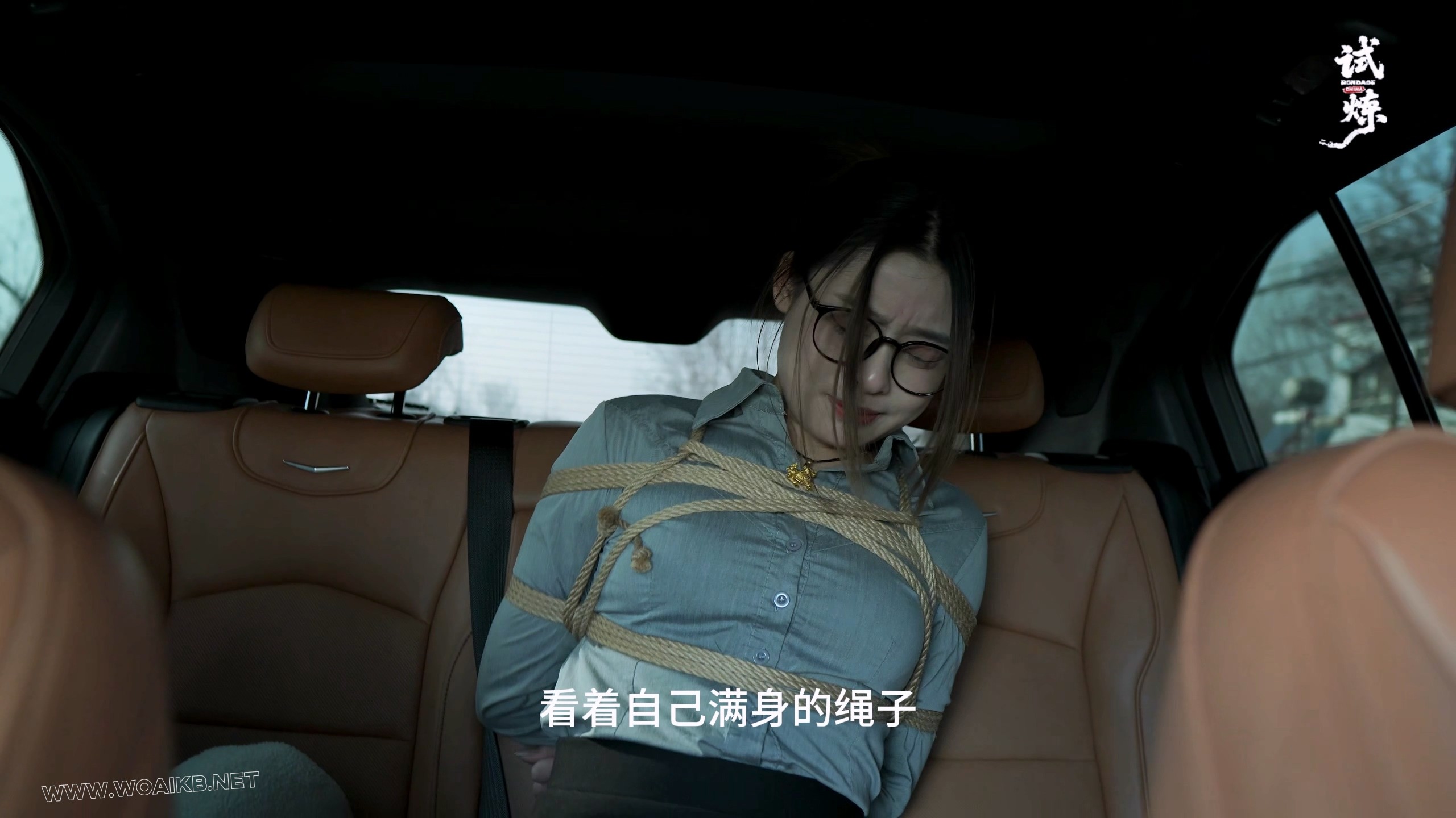 小周老师三部曲（二）——雯雯复仇记 预览图