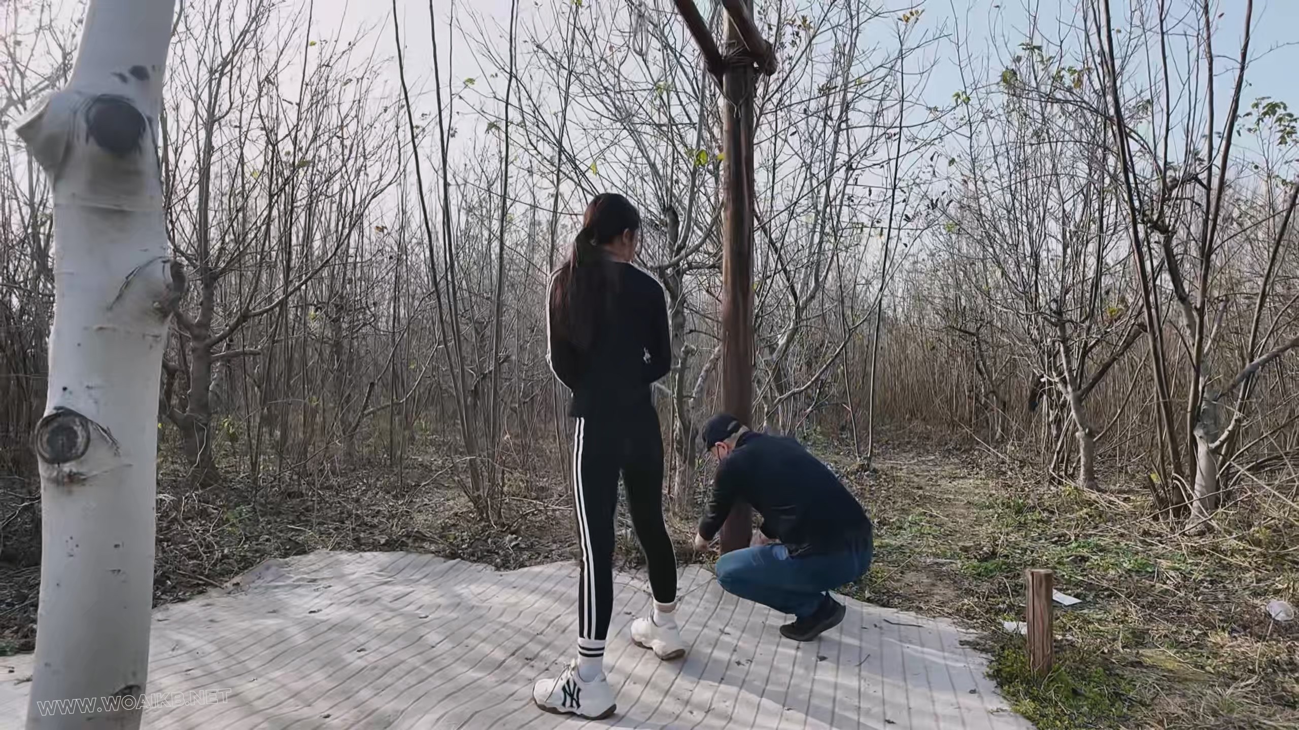 绑架十一第二季下 预览图