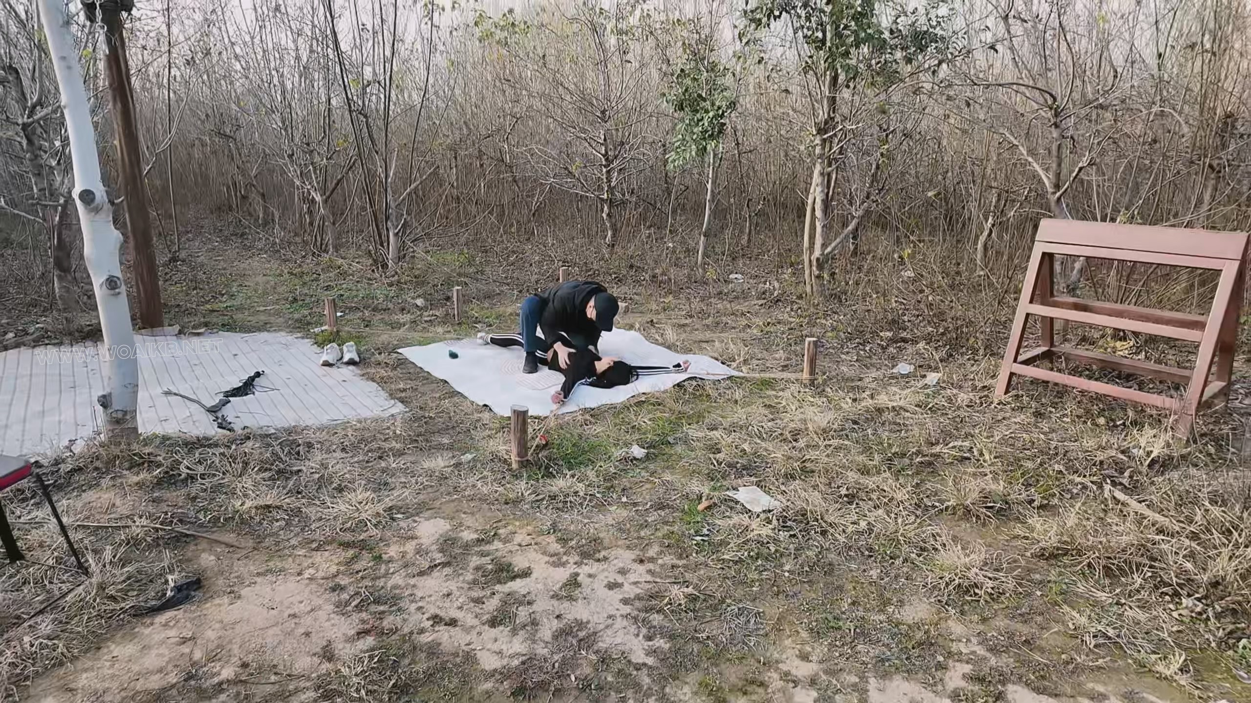 绑架十一第二季下 预览图