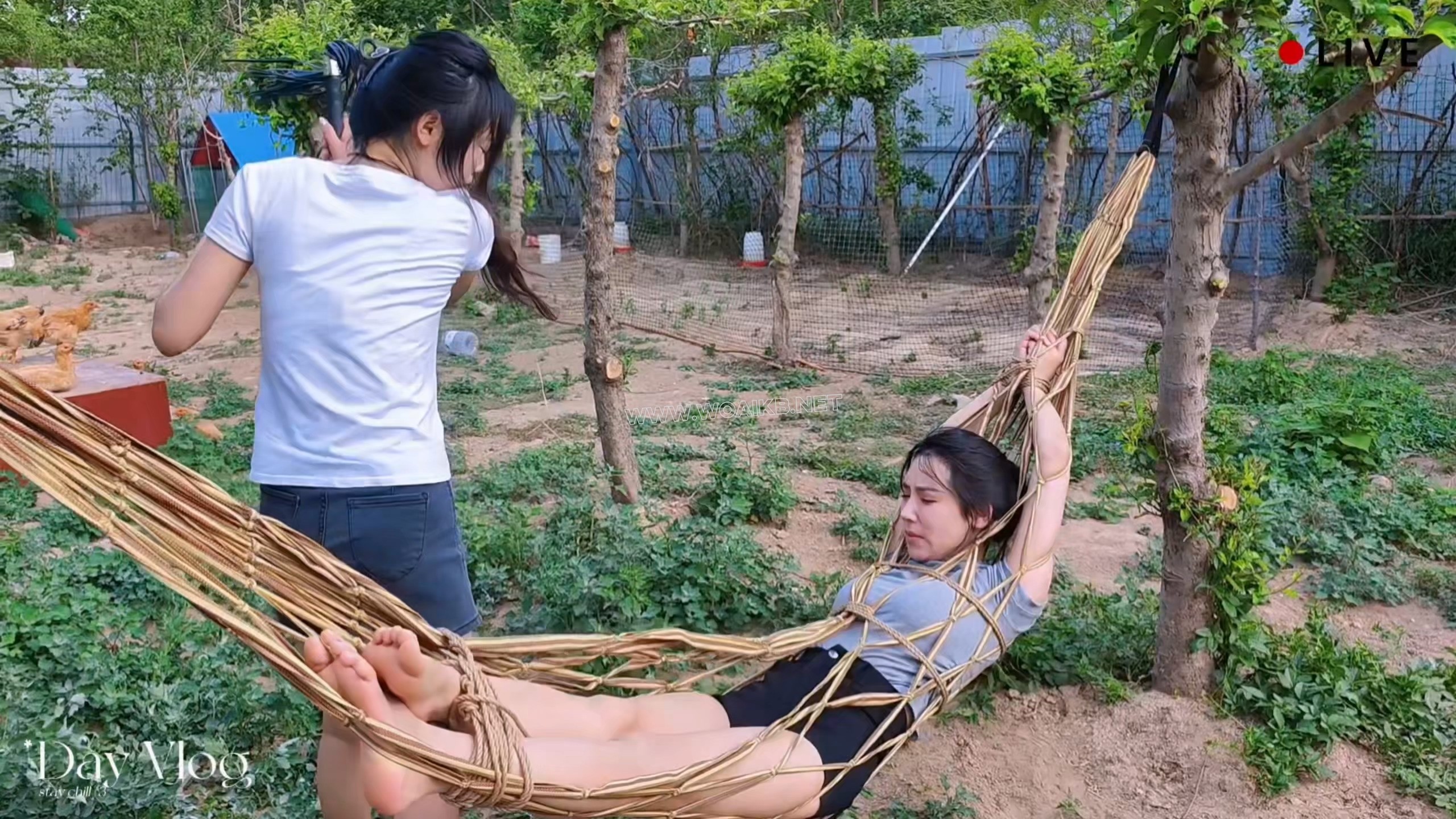 女斗三 封面图
