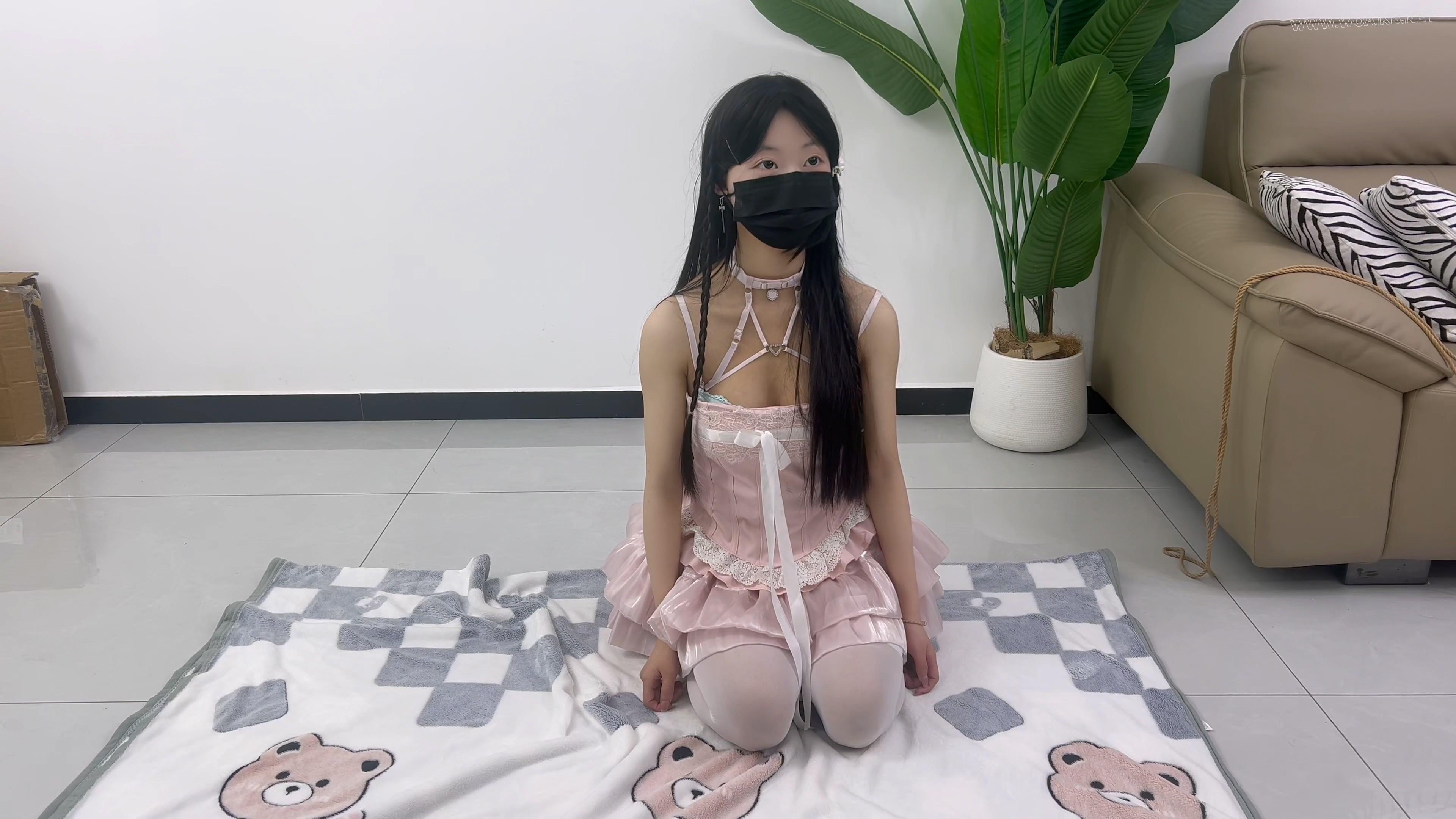 电子宠物之新的开始（新人养成系，快来领取你的电子宠物吧） 封面图