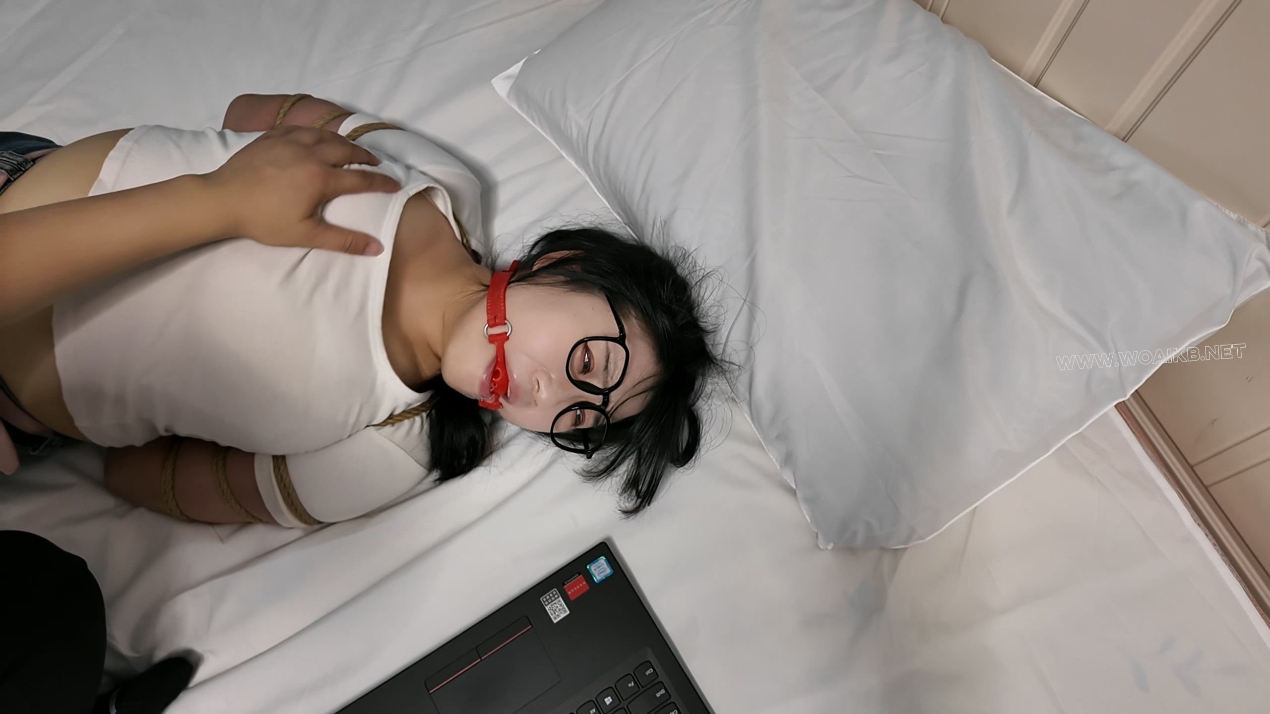 小遥刑讯训练上集 预览图