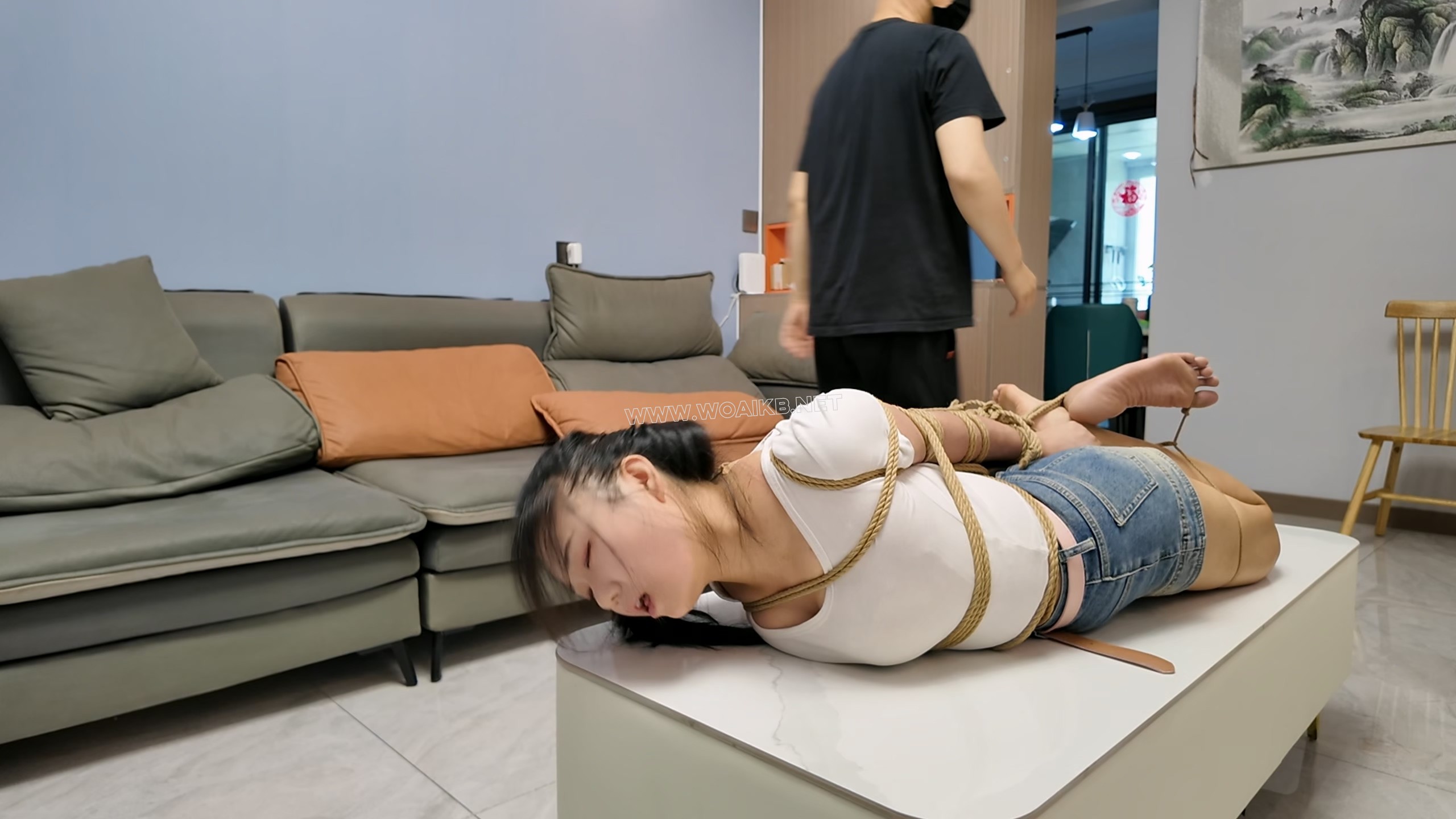 小遥刑讯训练上集 预览图